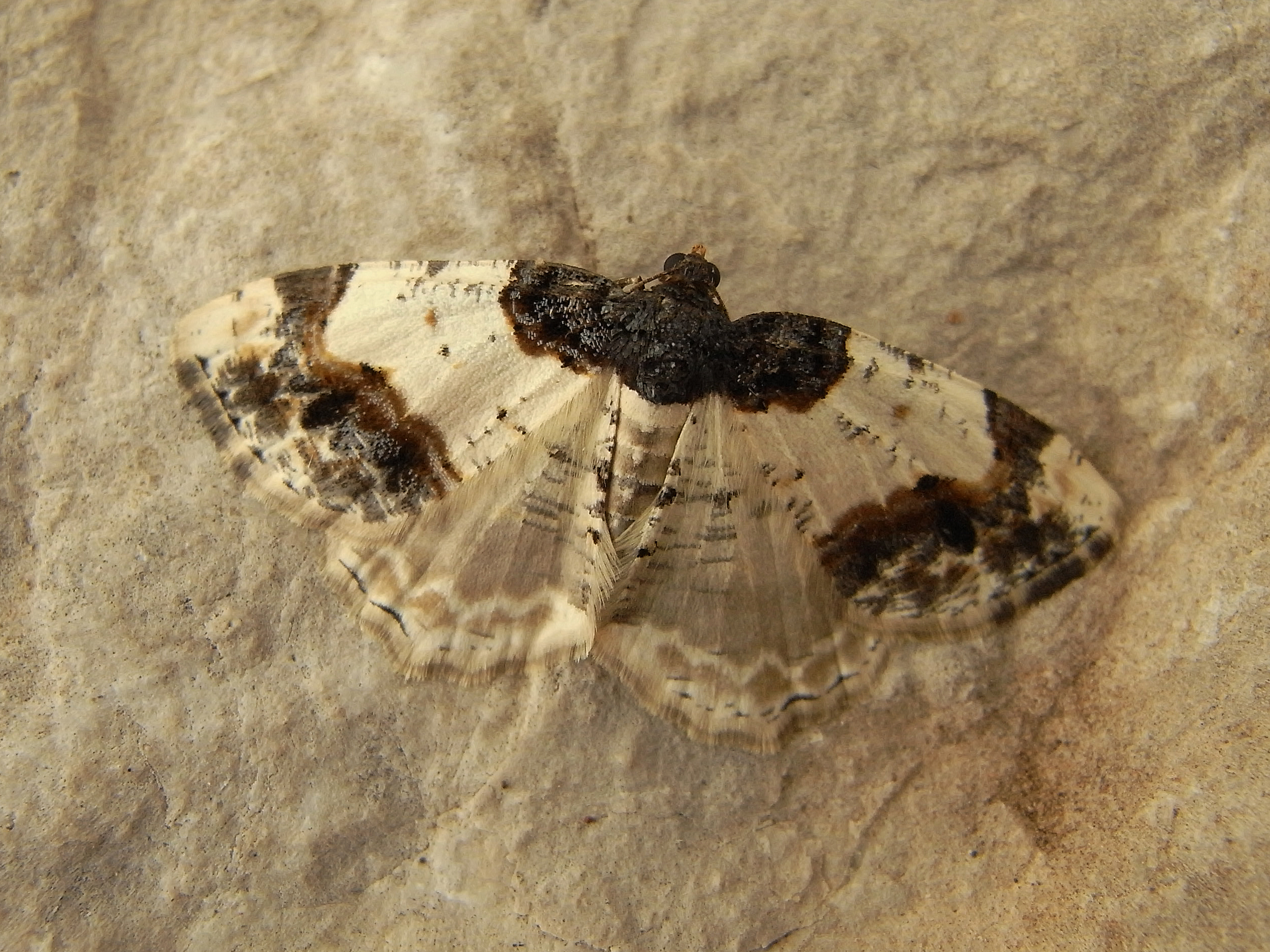 20052013101727 582 art 384 13052013223731 346 art 384 rimg0002