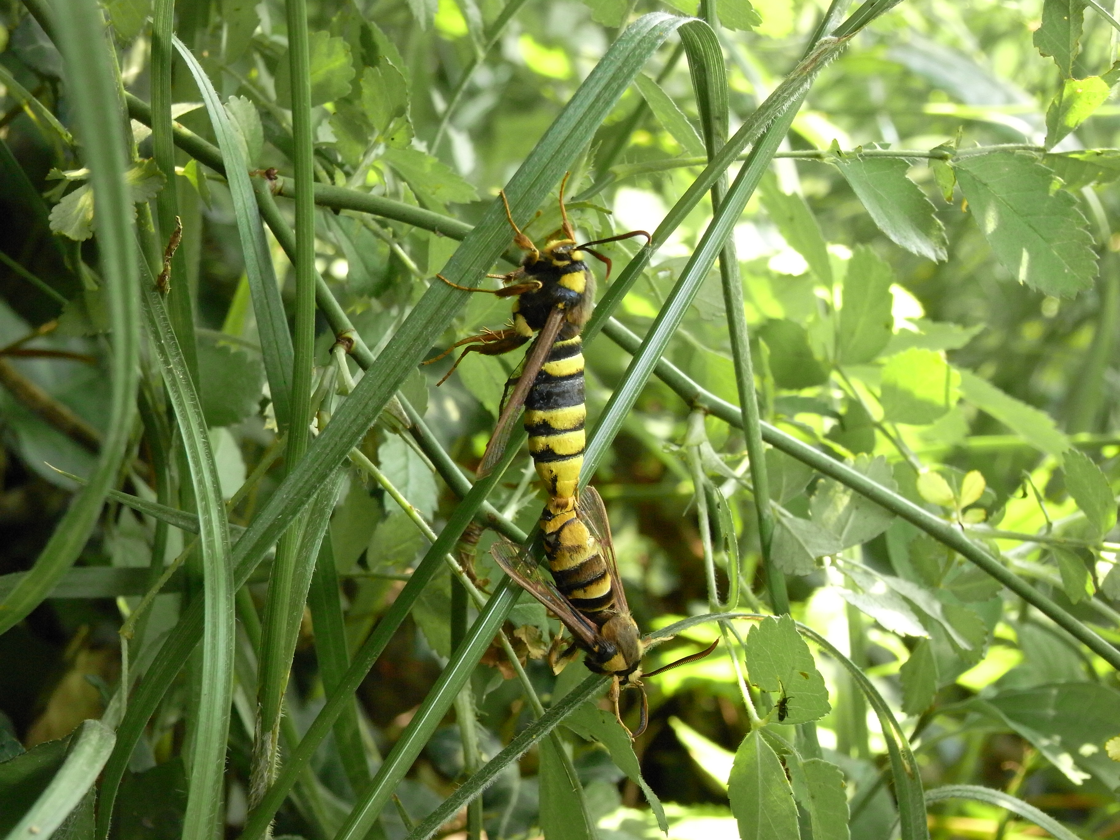 20062013121317 981 art 679 rimg0024