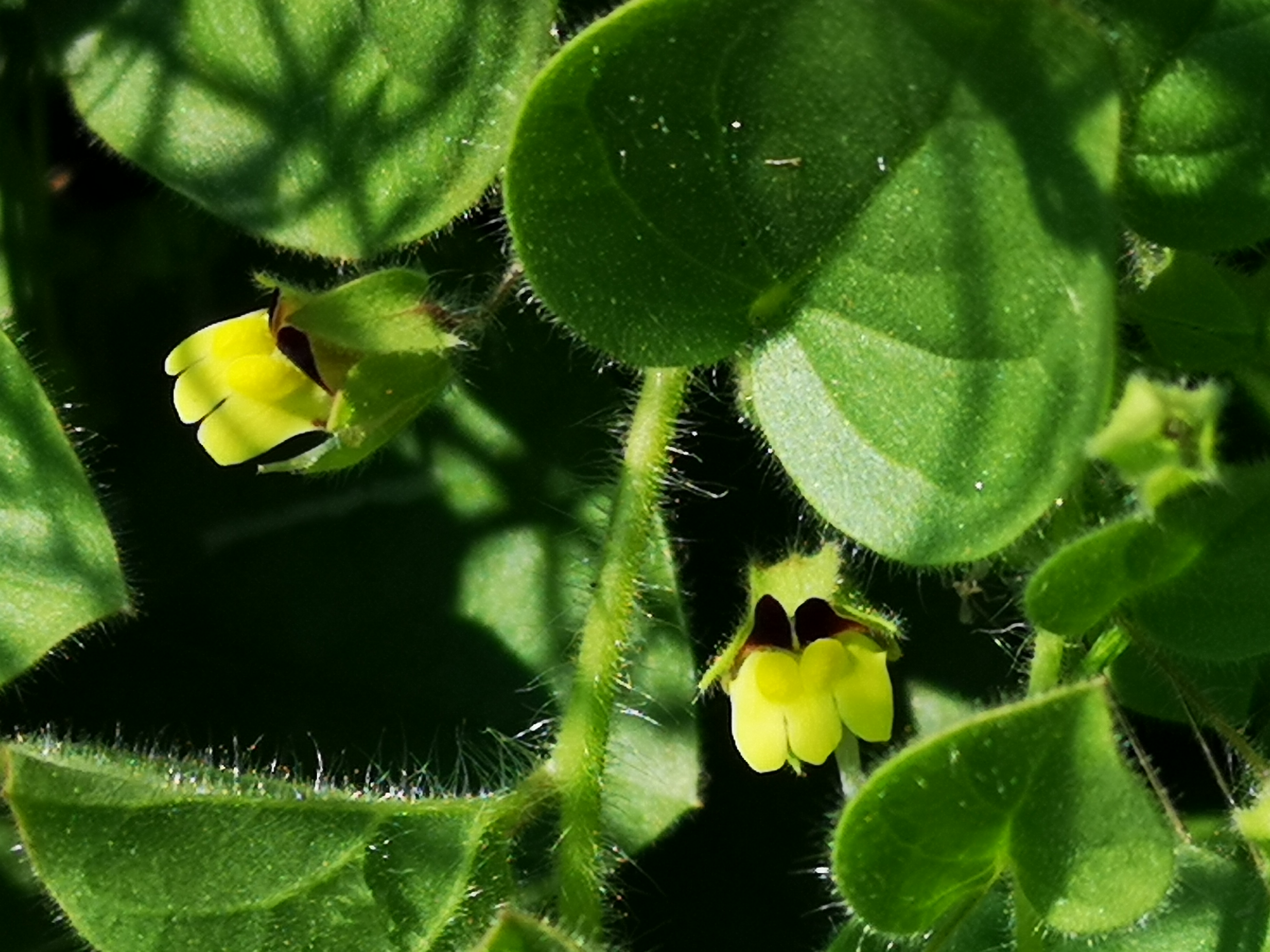 20072018224407 3834 art 2279 img 20180720 100621