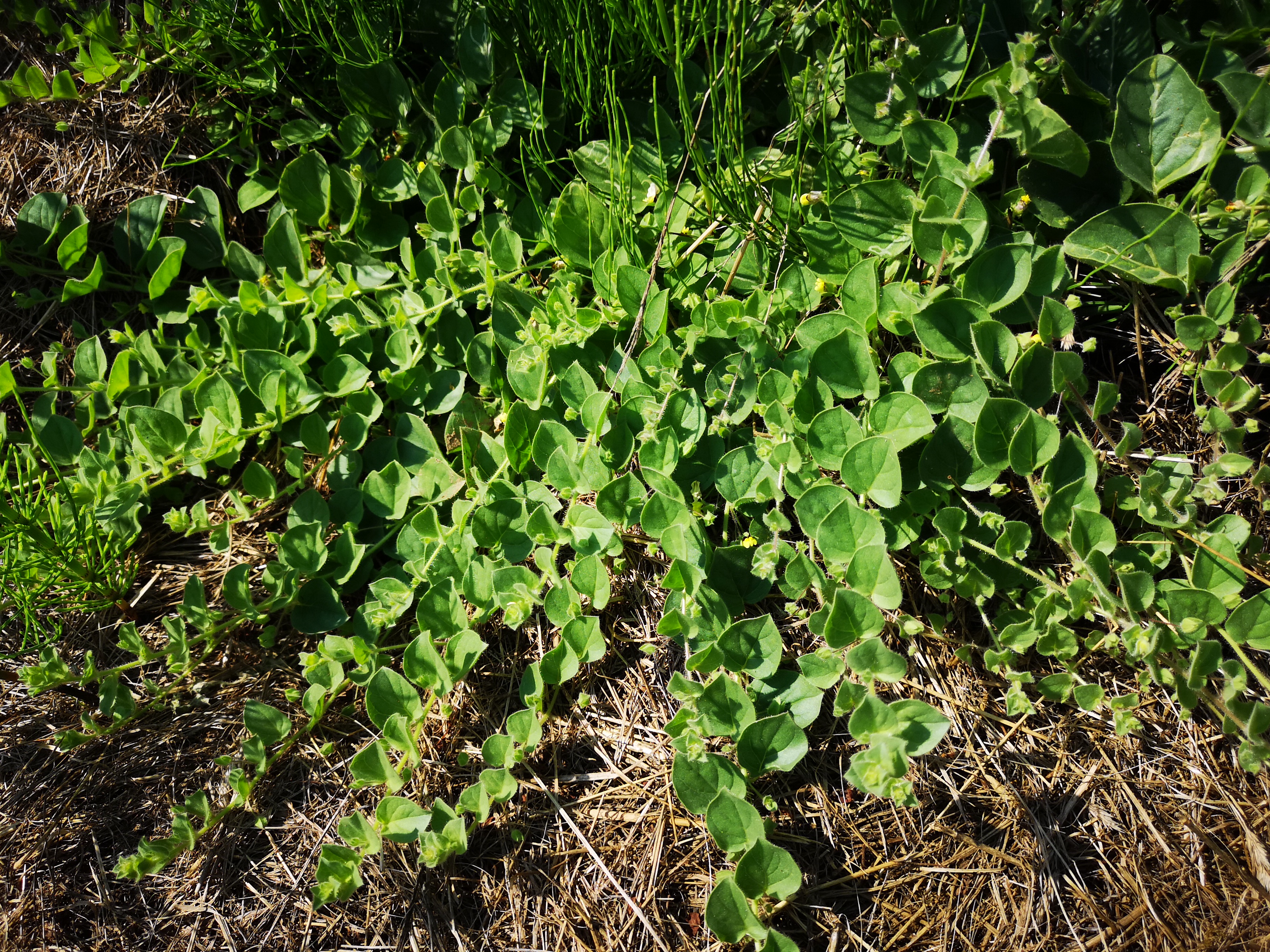 20072018224510 3835 art 2279 img 20180720 100608