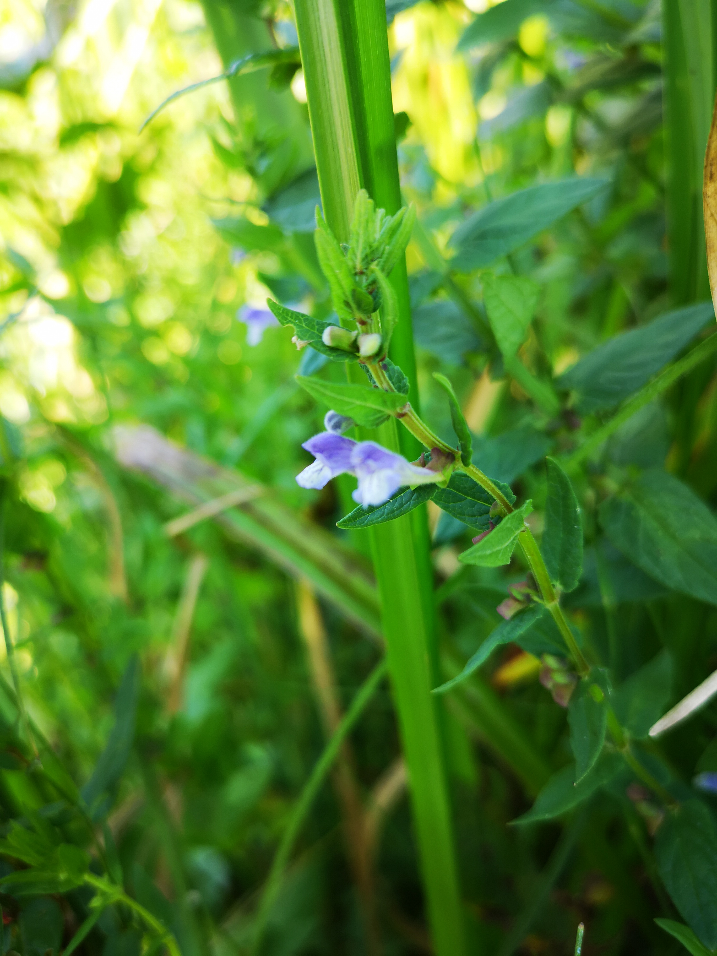 20072018230420 3838 art 1252 img 20180720 090038