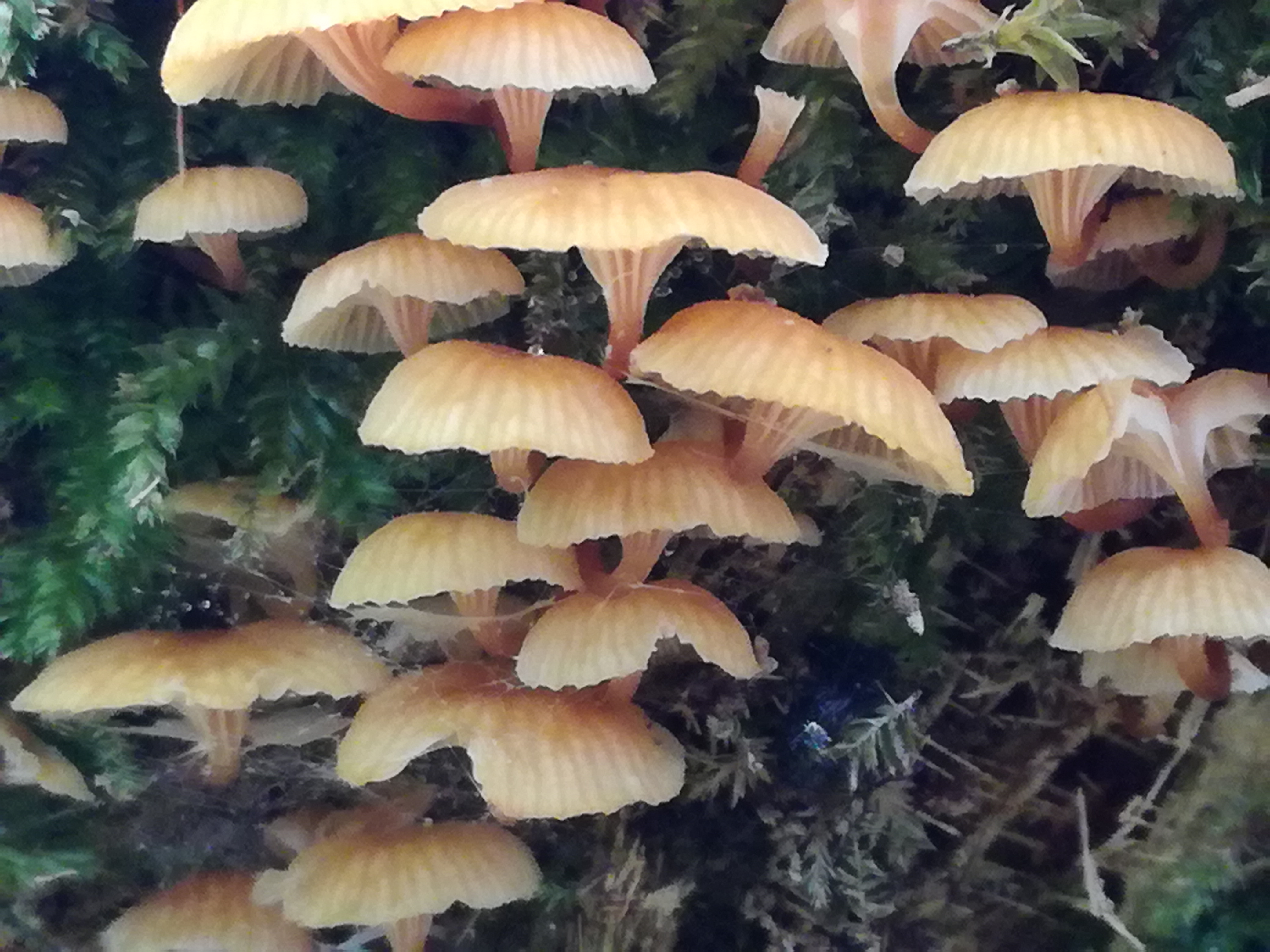 20082017191947 3012 art 1824 img 20170723 125711