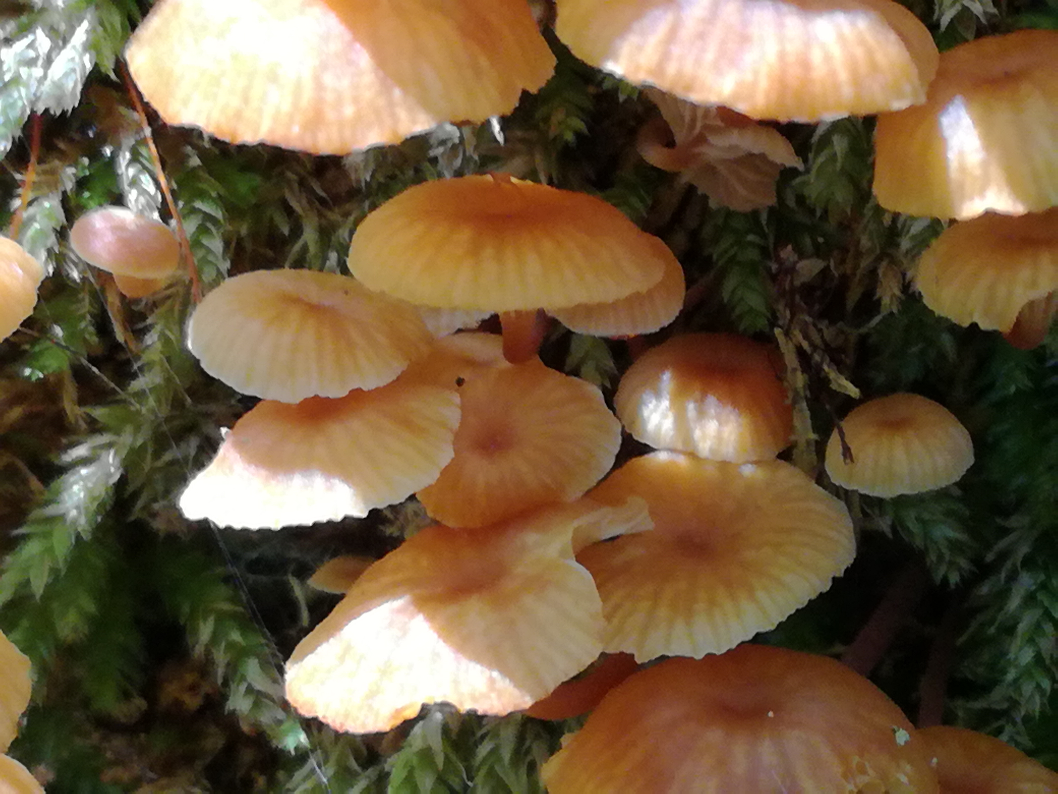 20082017192151 3013 art 1824 img 20170723 125655