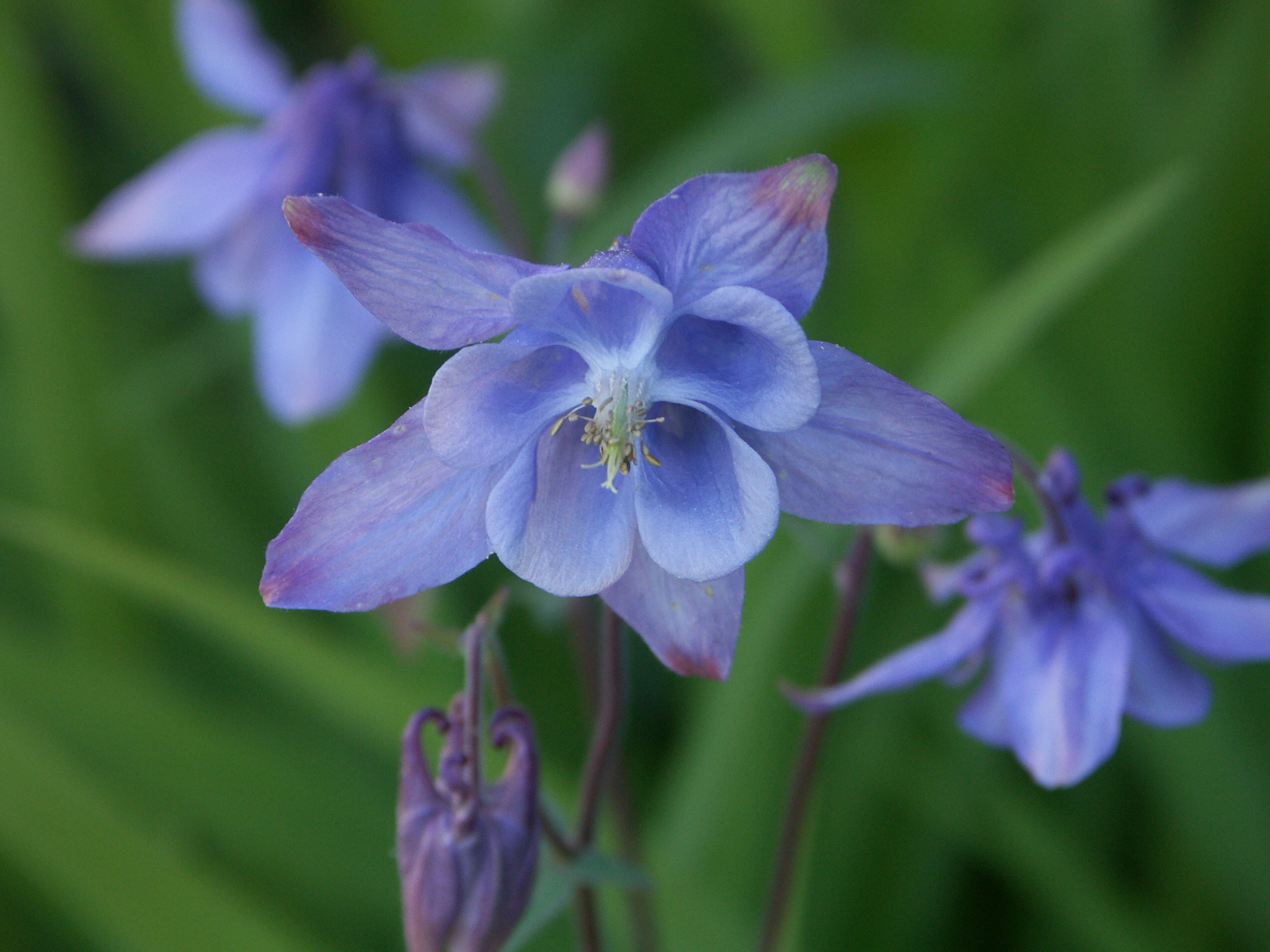 21022018164629 3467 art 2100 pict7273