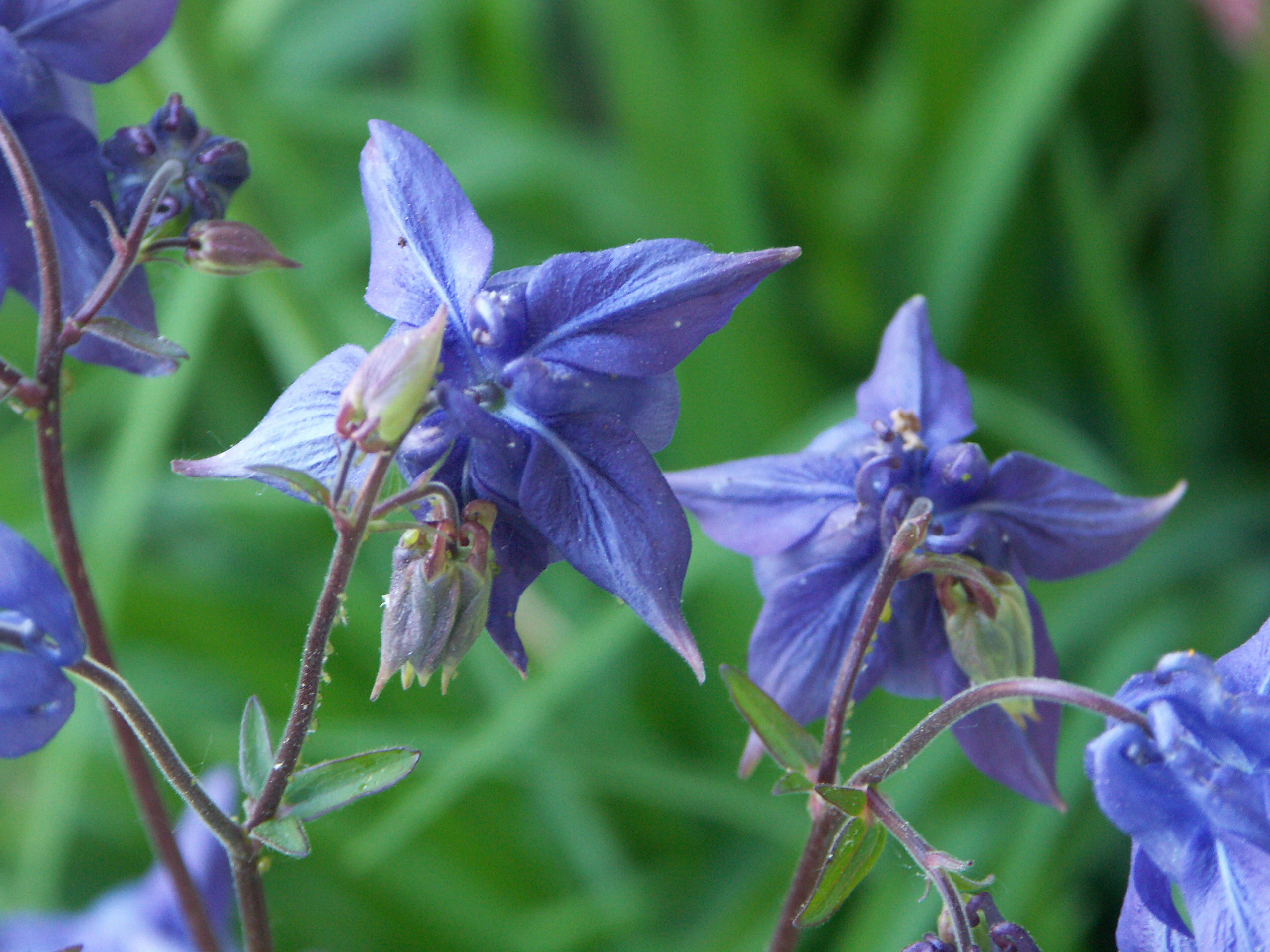 21022018164726 3468 art 2100 pict7274