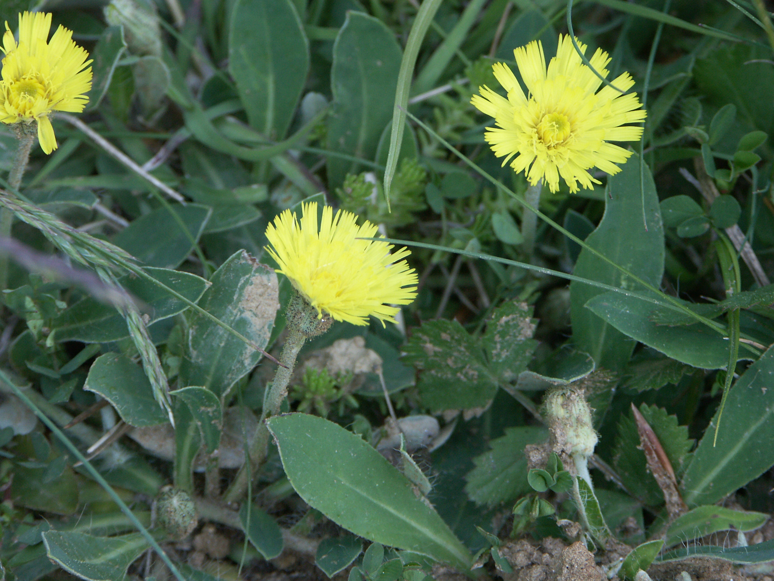 21022018165543 3470 art 538 pict7194