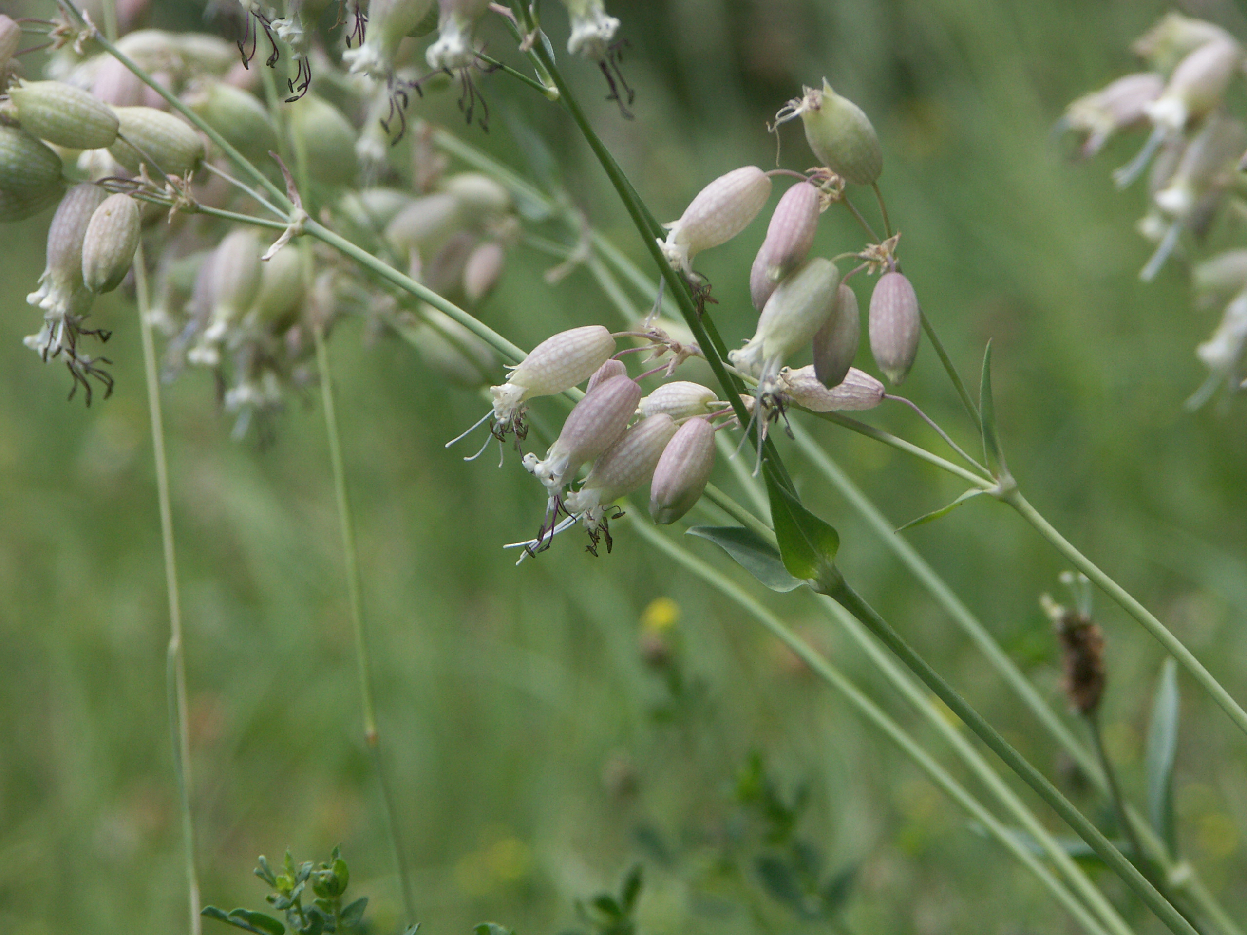 21022018172547 3474 art 2102 pict7950