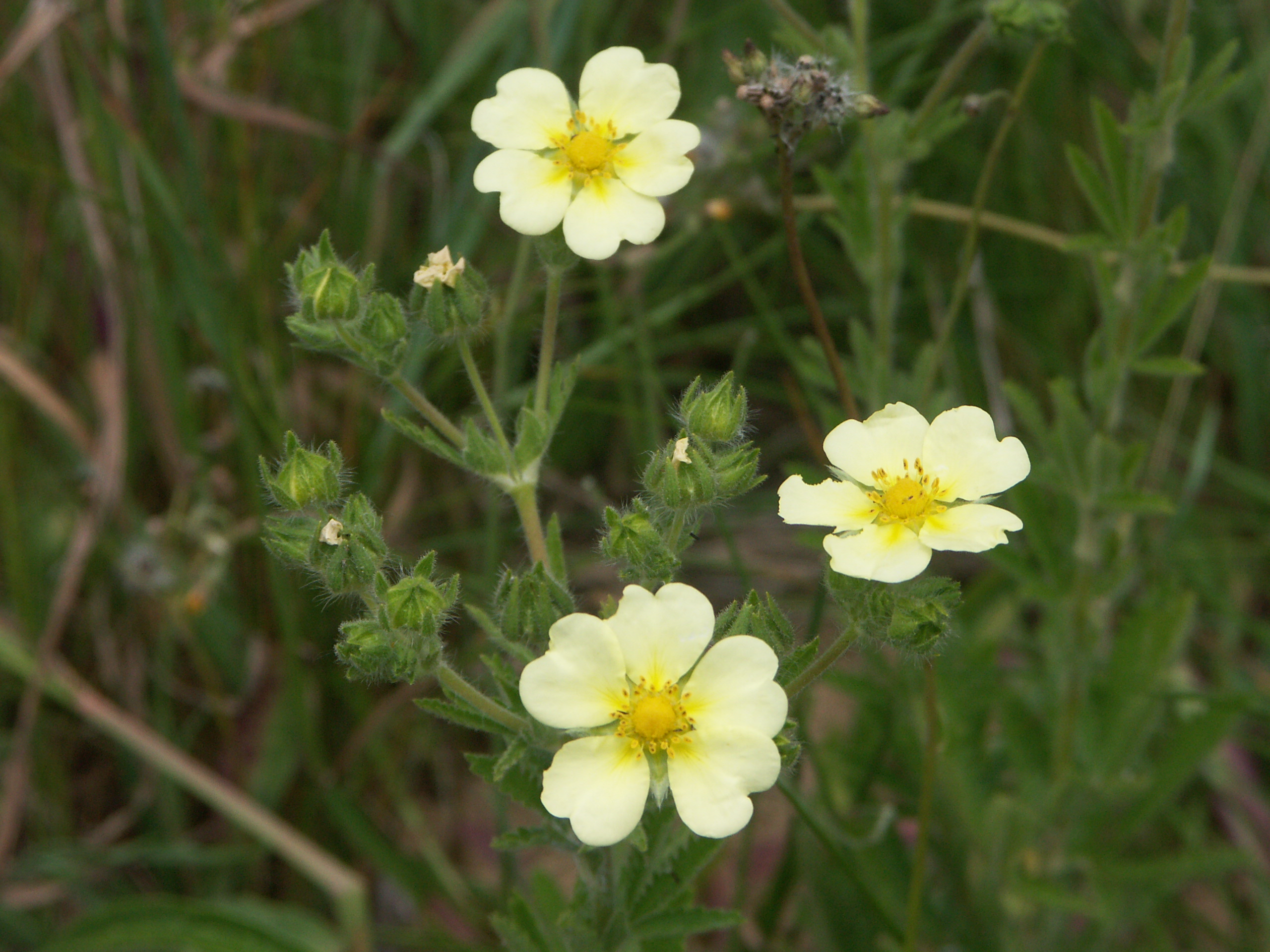 21022018173547 3475 art 2103 pict7971