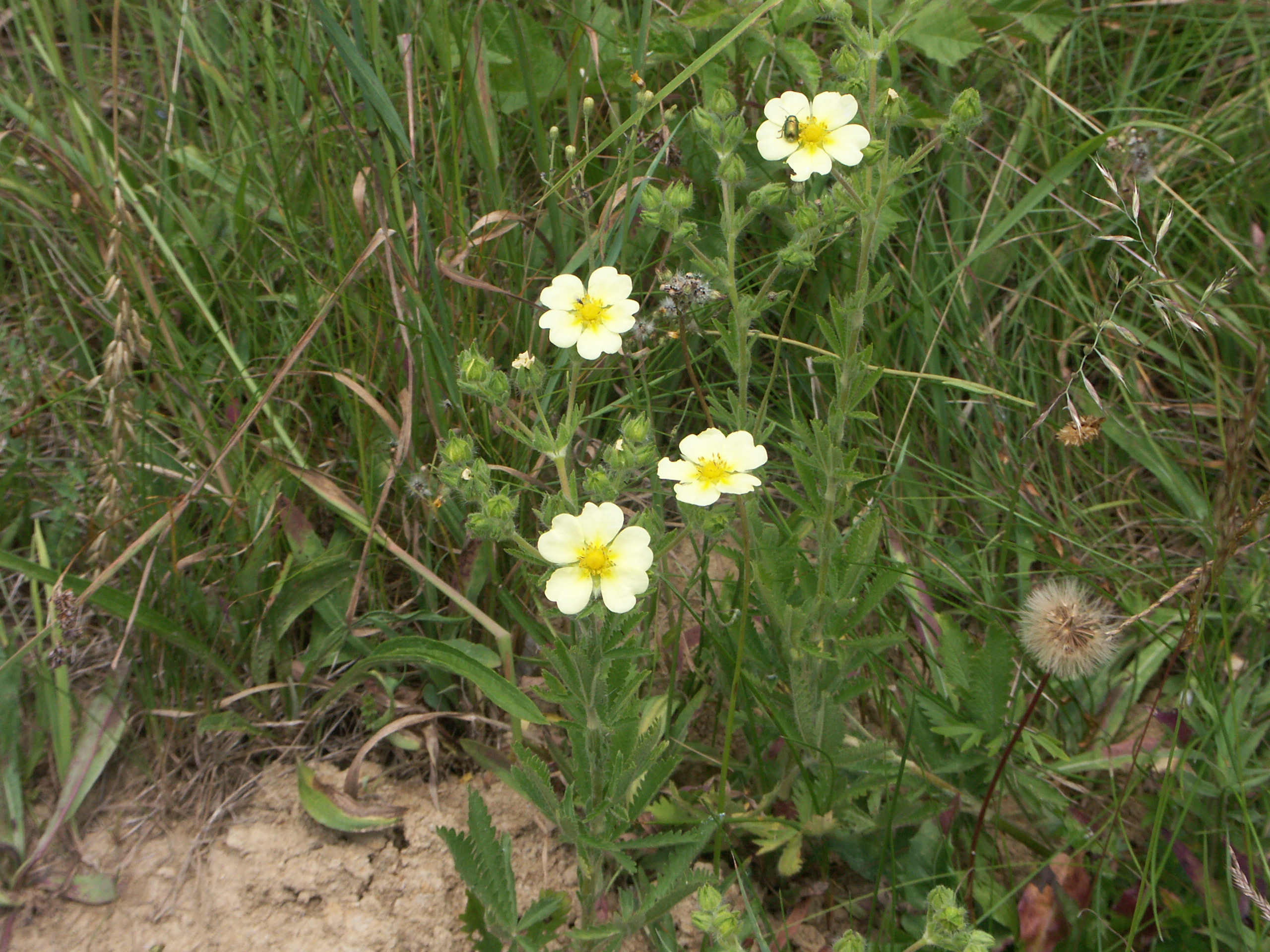 21022018173702 3476 art 2103 pict7973