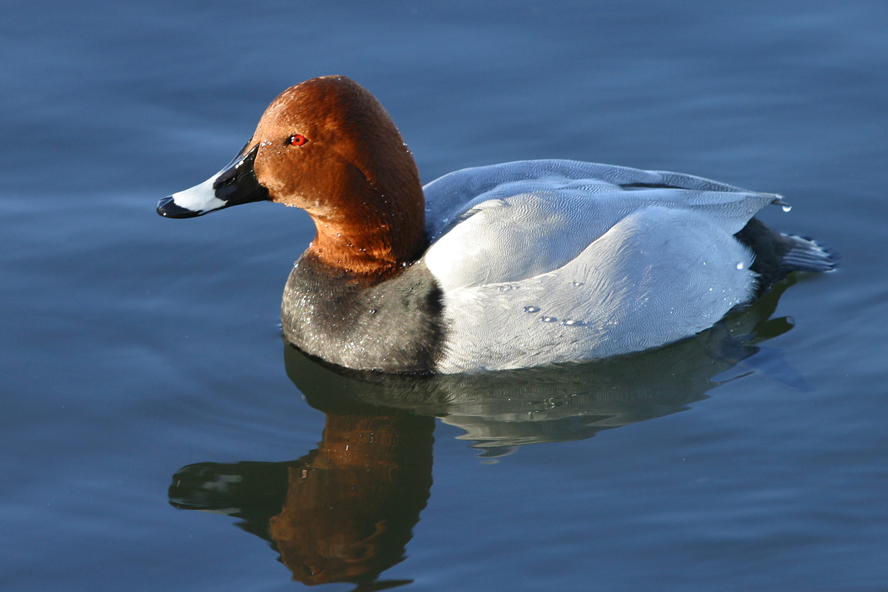 21042014140610 2333 art 1283 img 4230