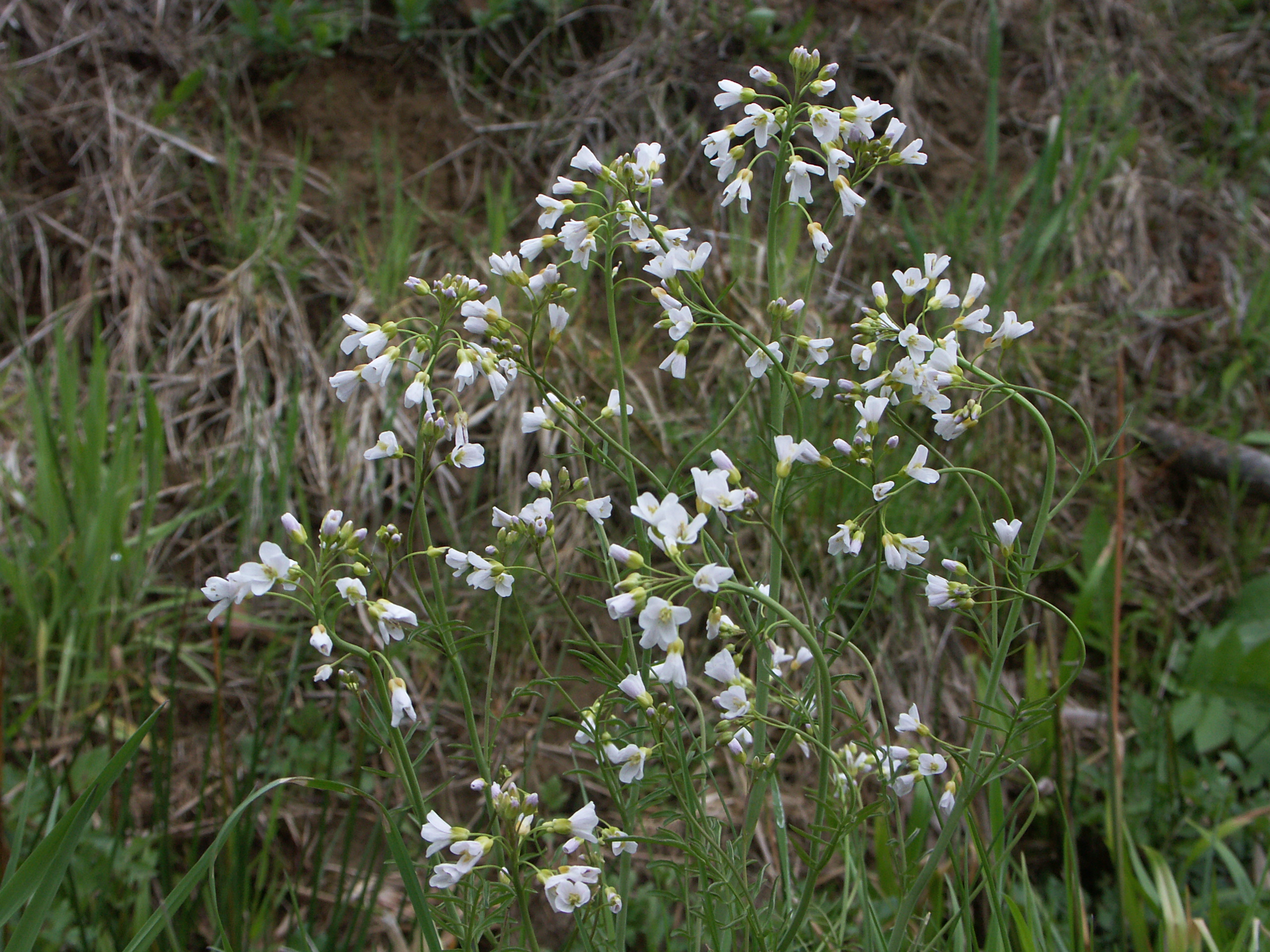 21042014144214 2335 art 1474 pict1062