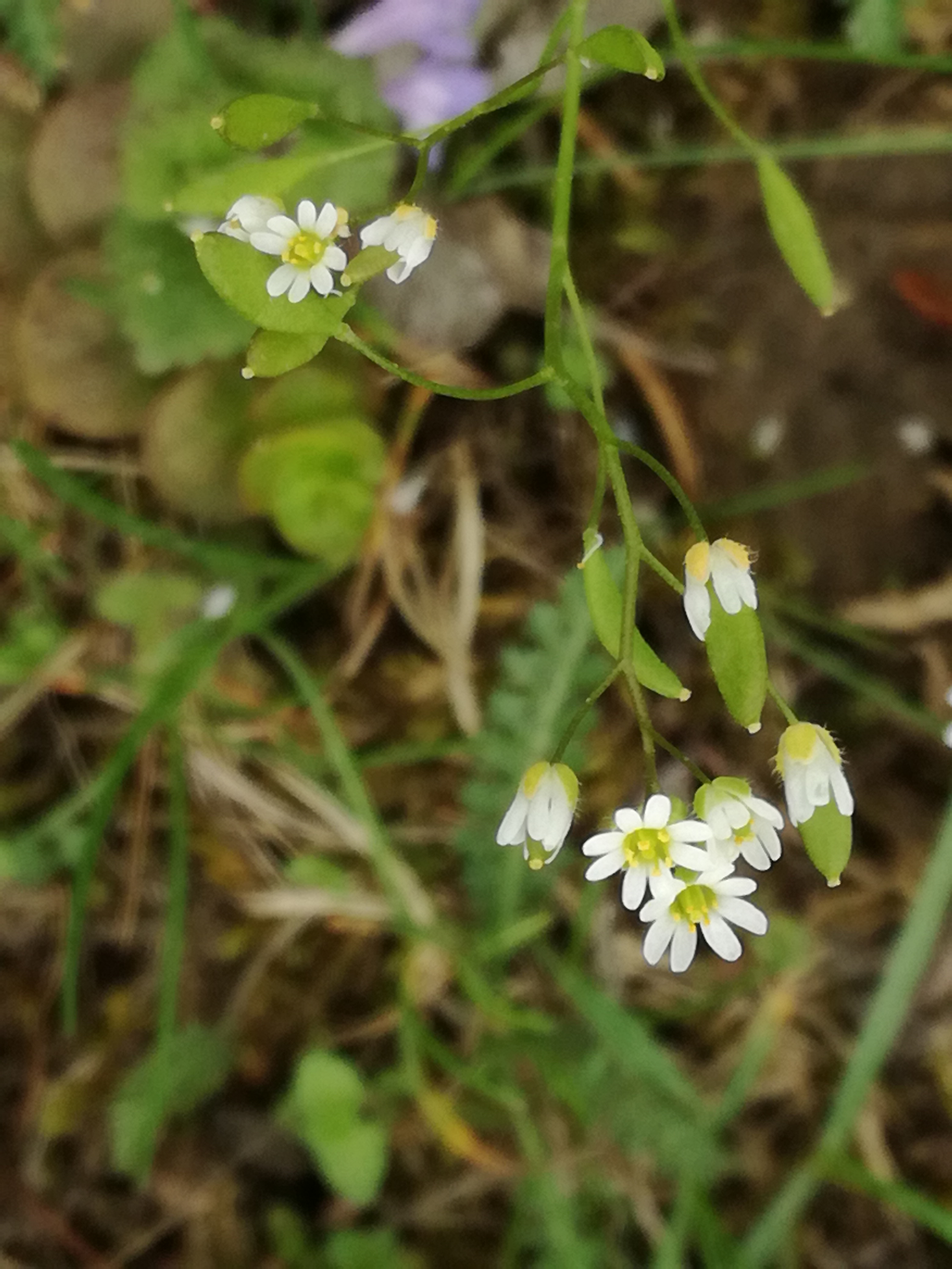 21042018211613 3510 art 1799 img 20180416 141041