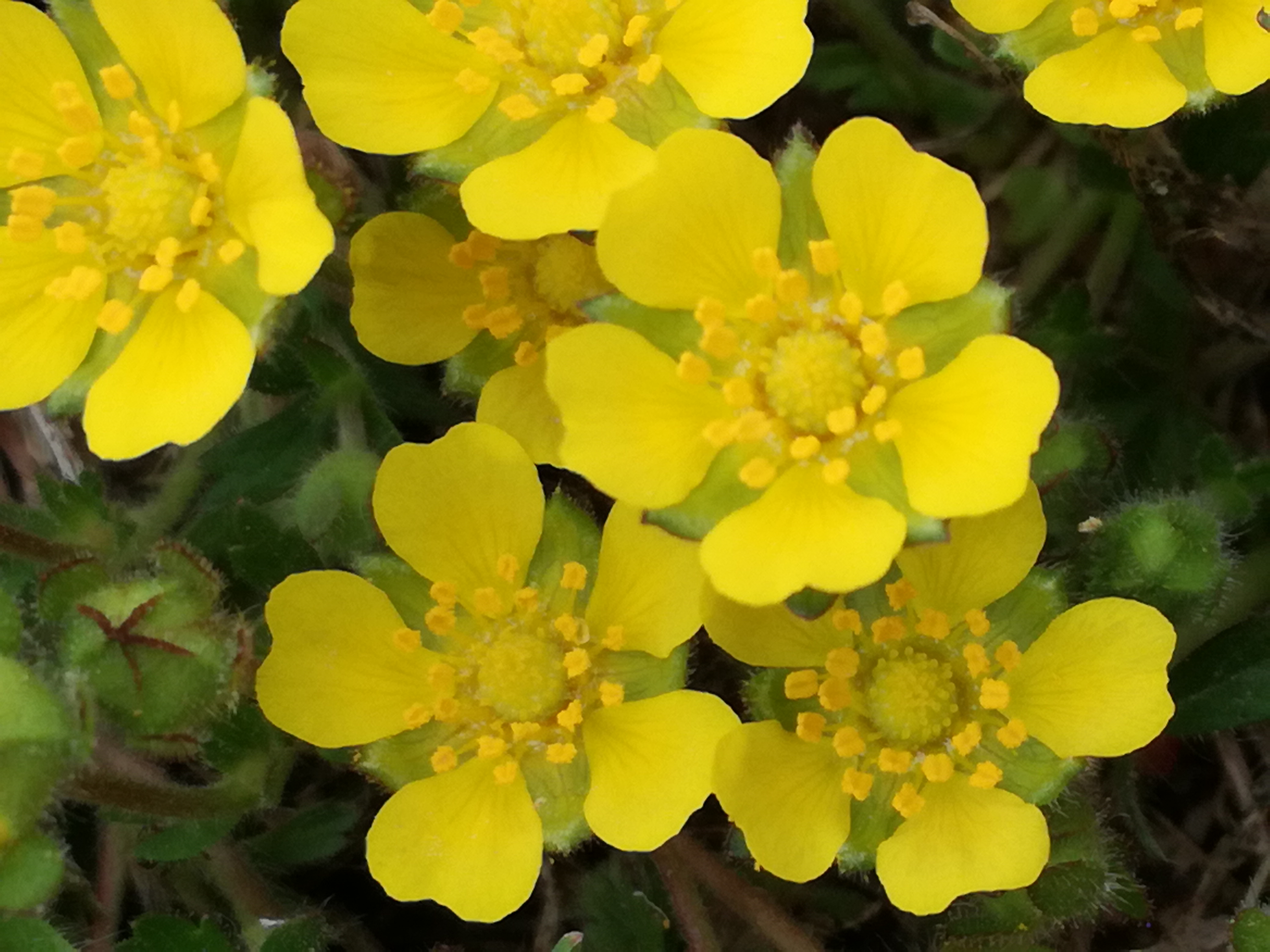 21042018212348 3512 art 1475 img 20180416 141721