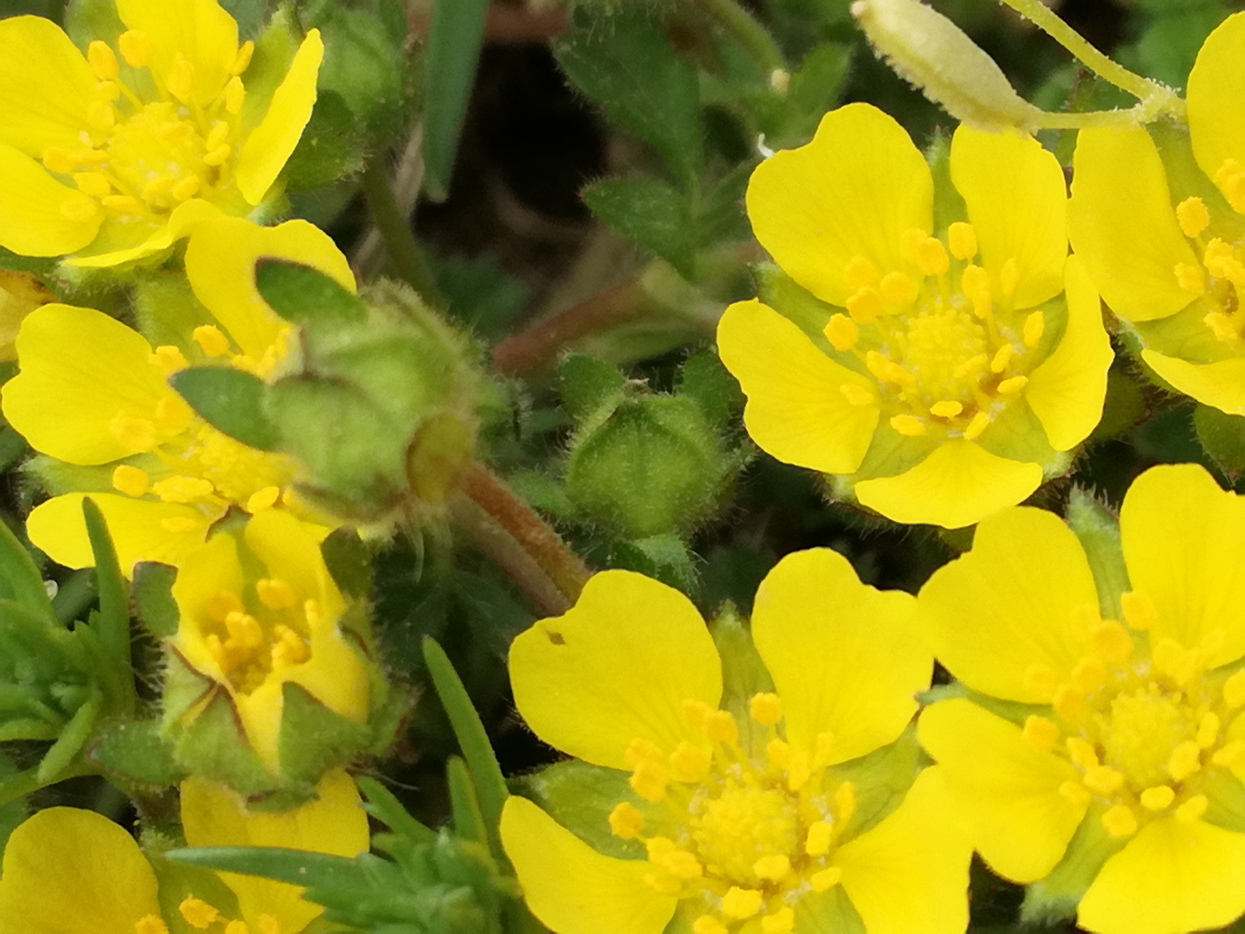 21042018212503 3513 art 1475 img 20180416 141734