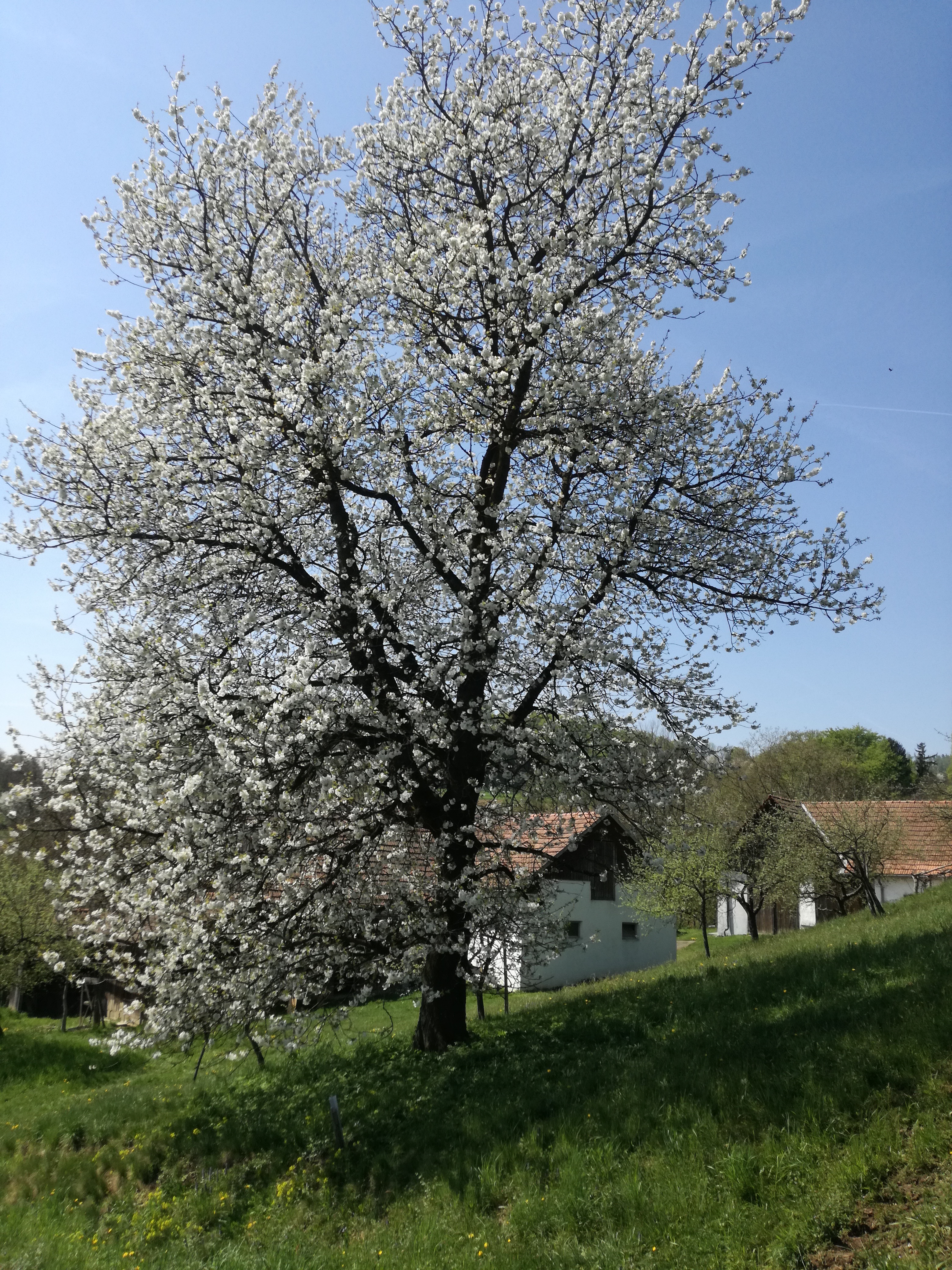 21042018214658 3515 art 882 img 20180418 123150