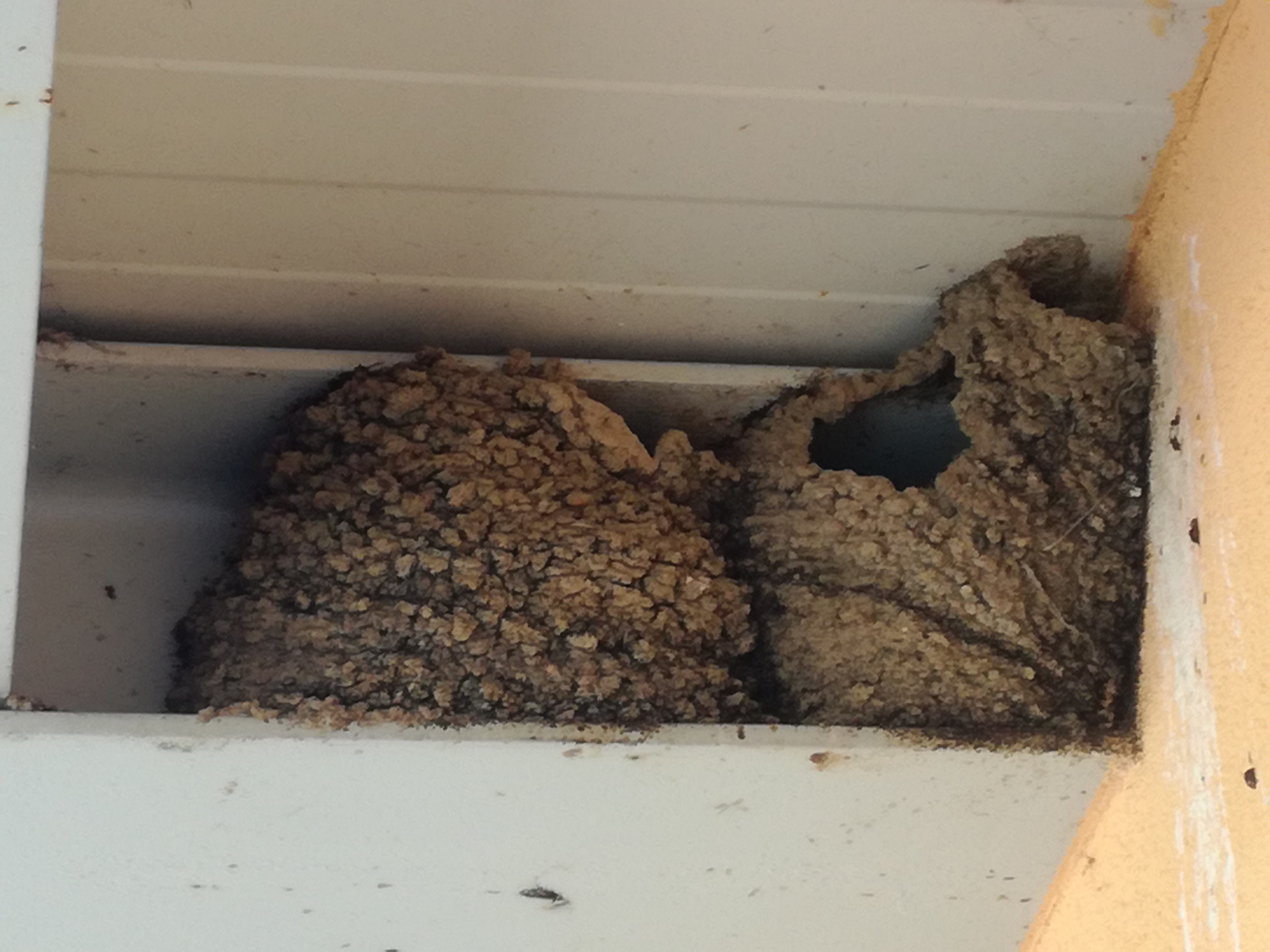 21042018215957 3516 art 2116 img 20180419 124956