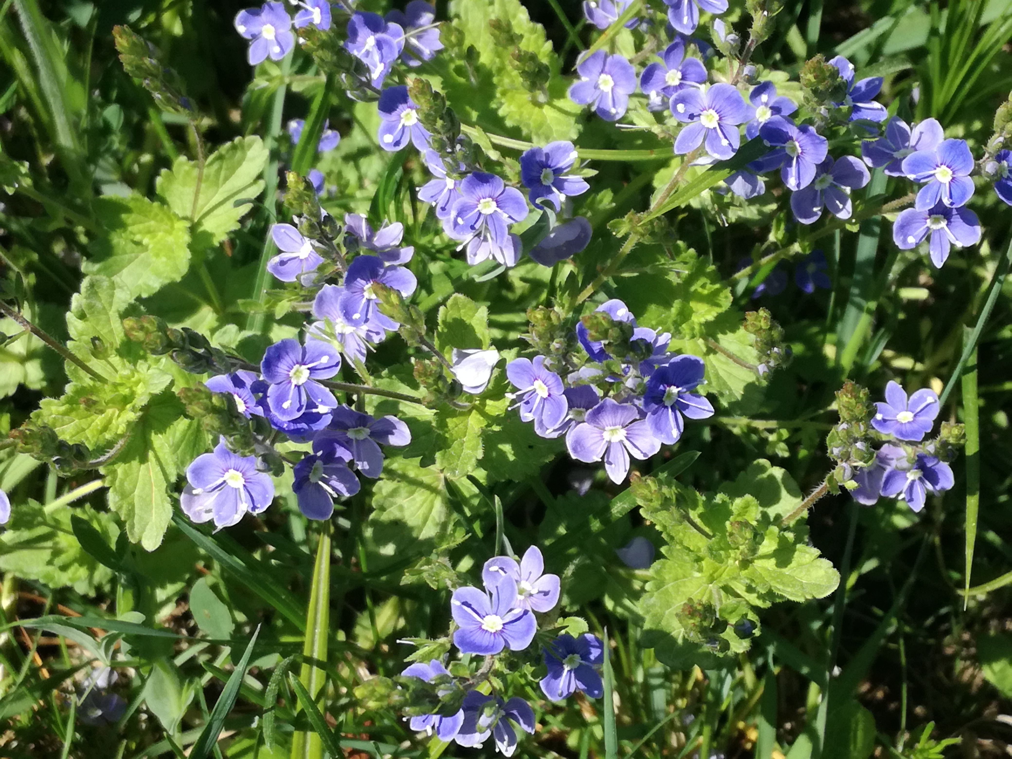 21042018221147 3518 art 1244 img 20180419 130311