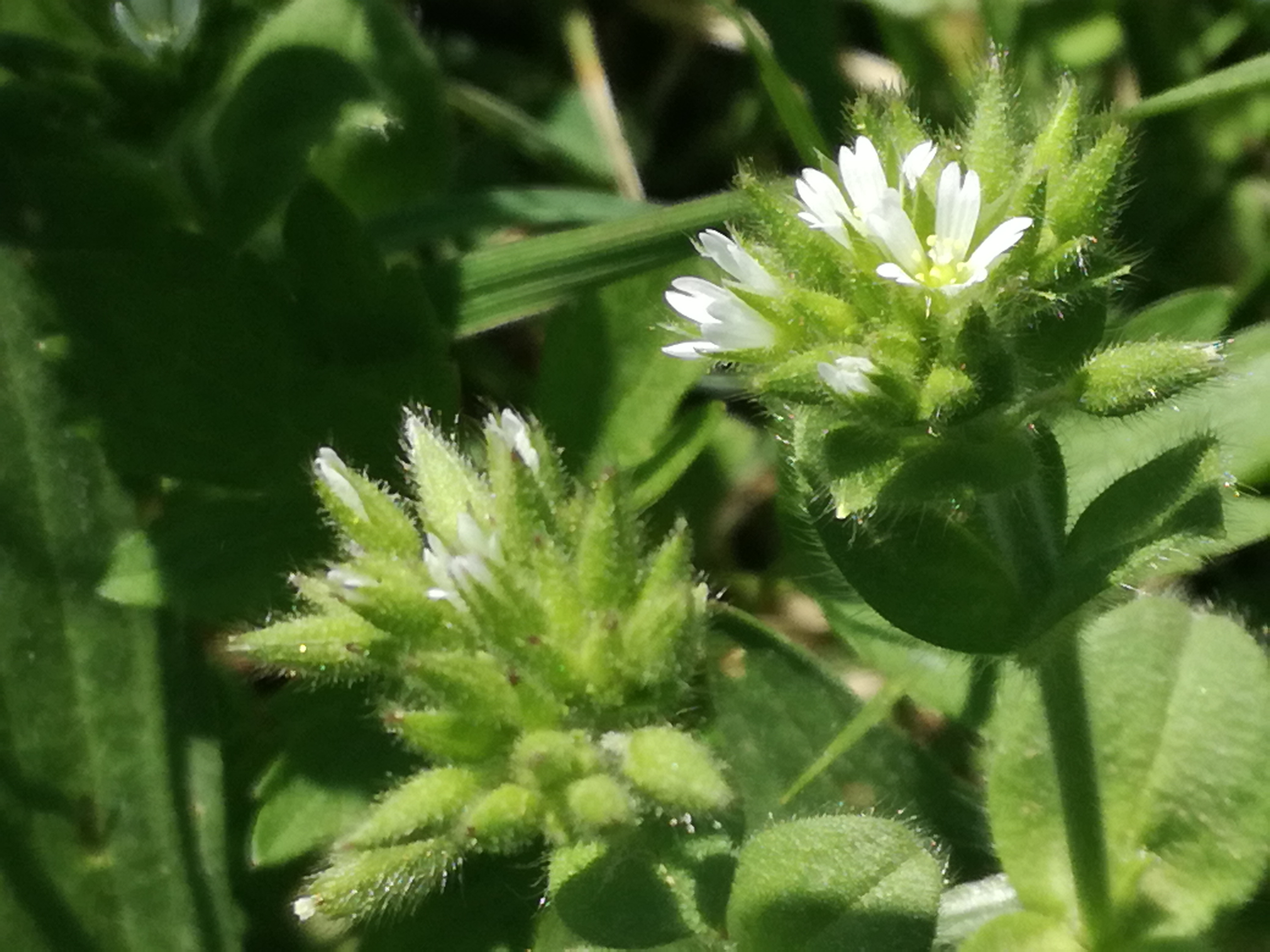 21042018224143 3521 art 2117 img 20180419 132820