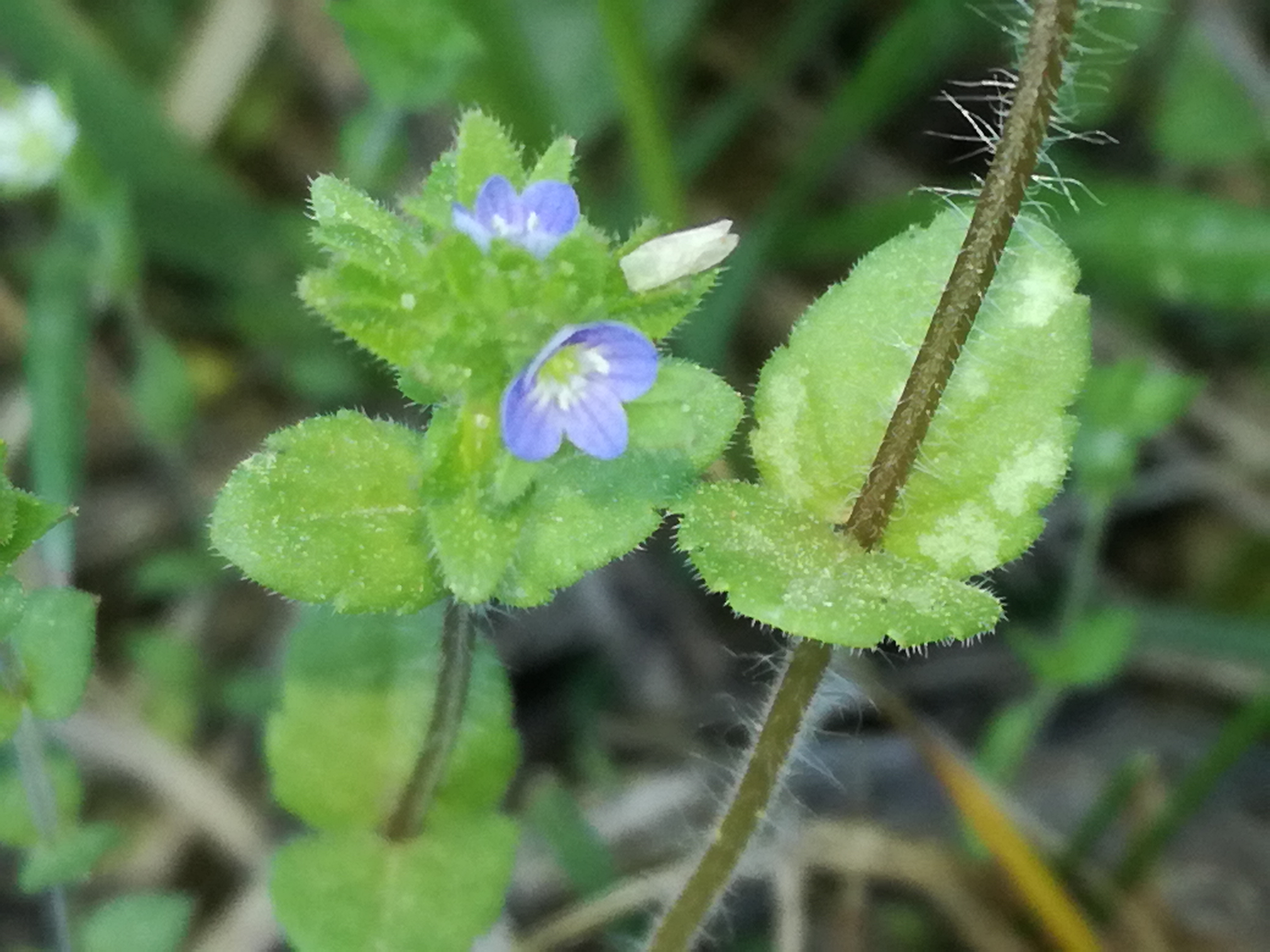 21042018232608 3527 art 2120 img 20180421 103120