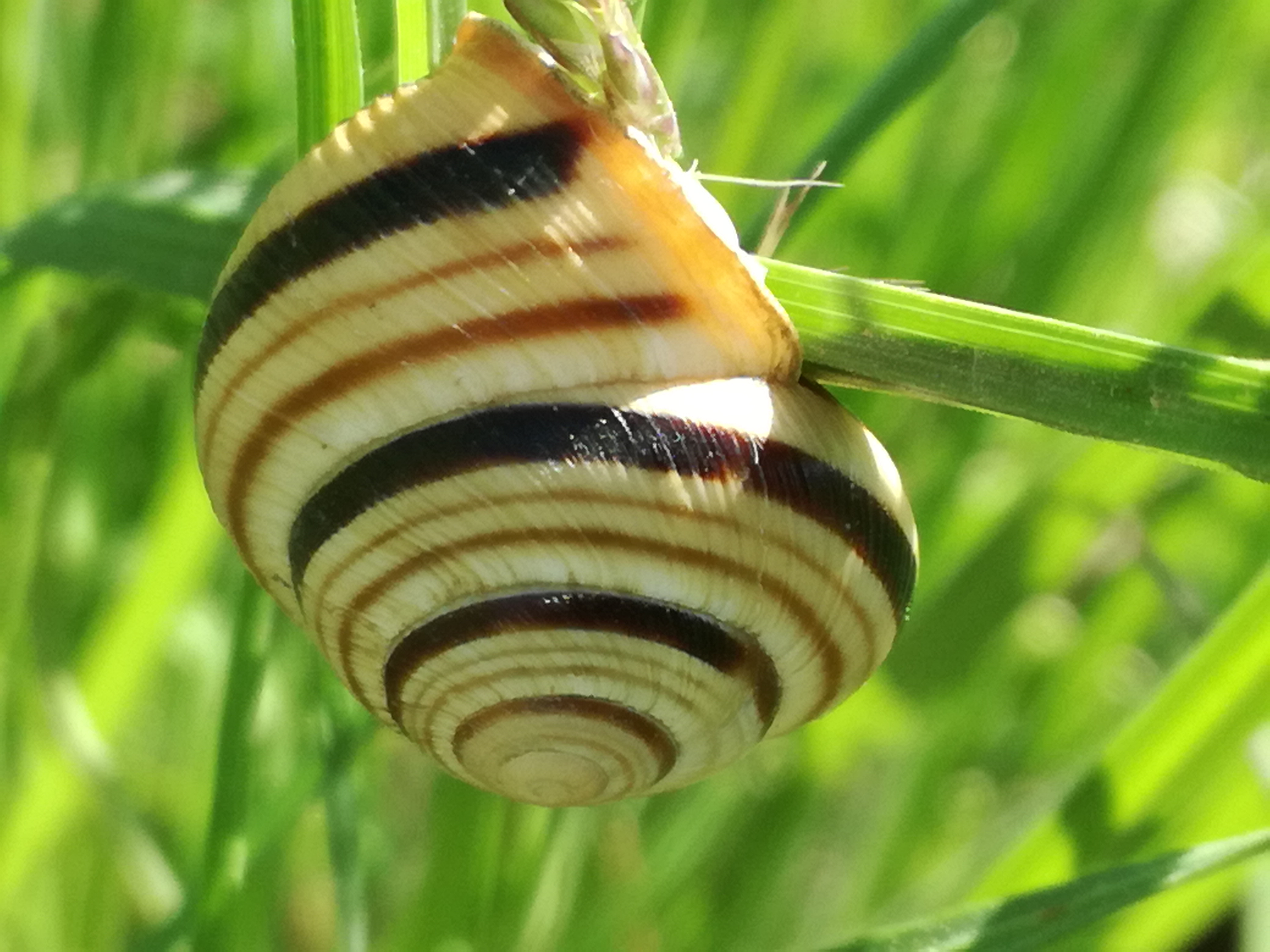 21042018233023 3528 art 875 img 20180421 103120 2