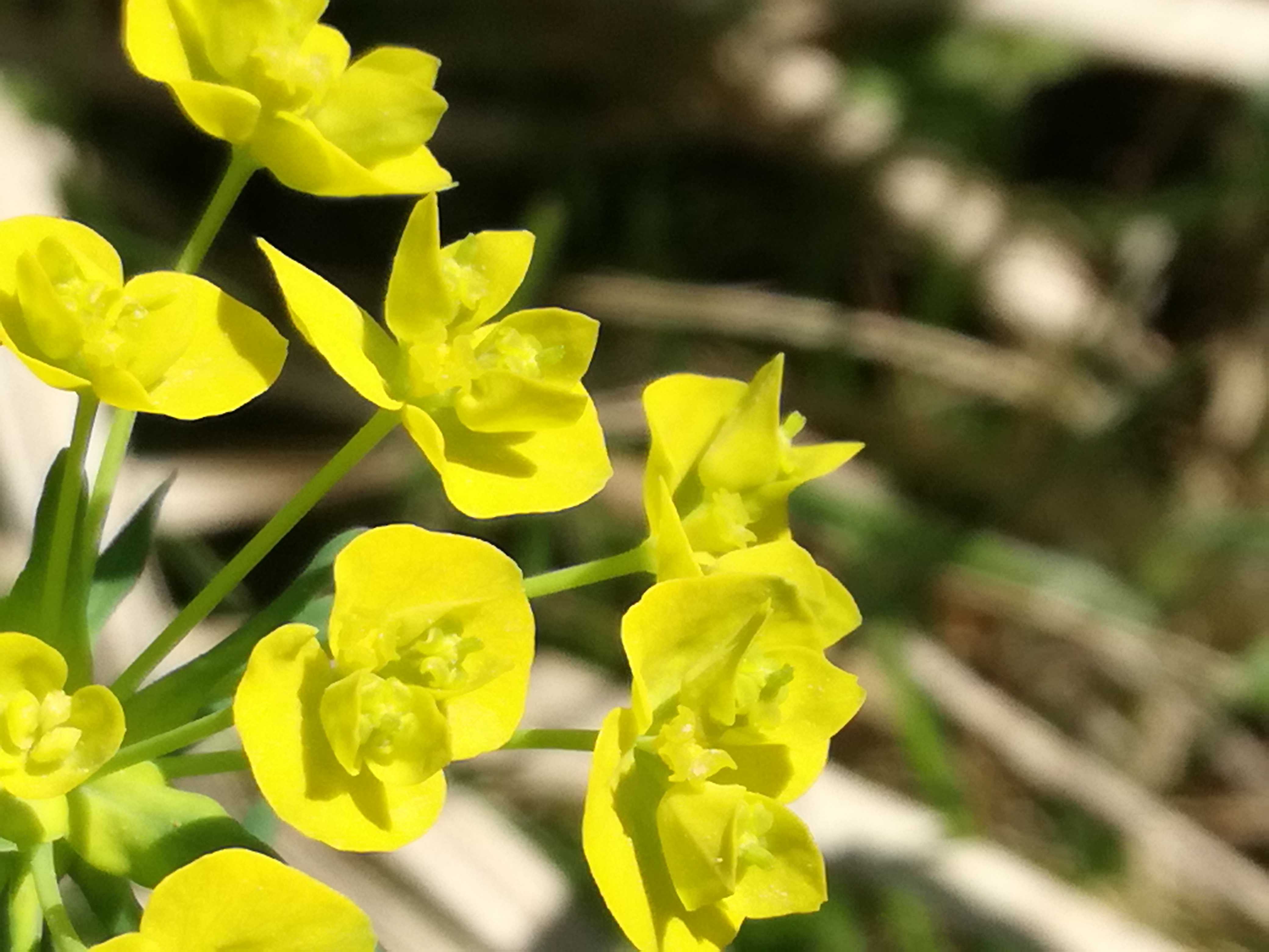 21042018233739 3529 art 2112 img 20180421 105150