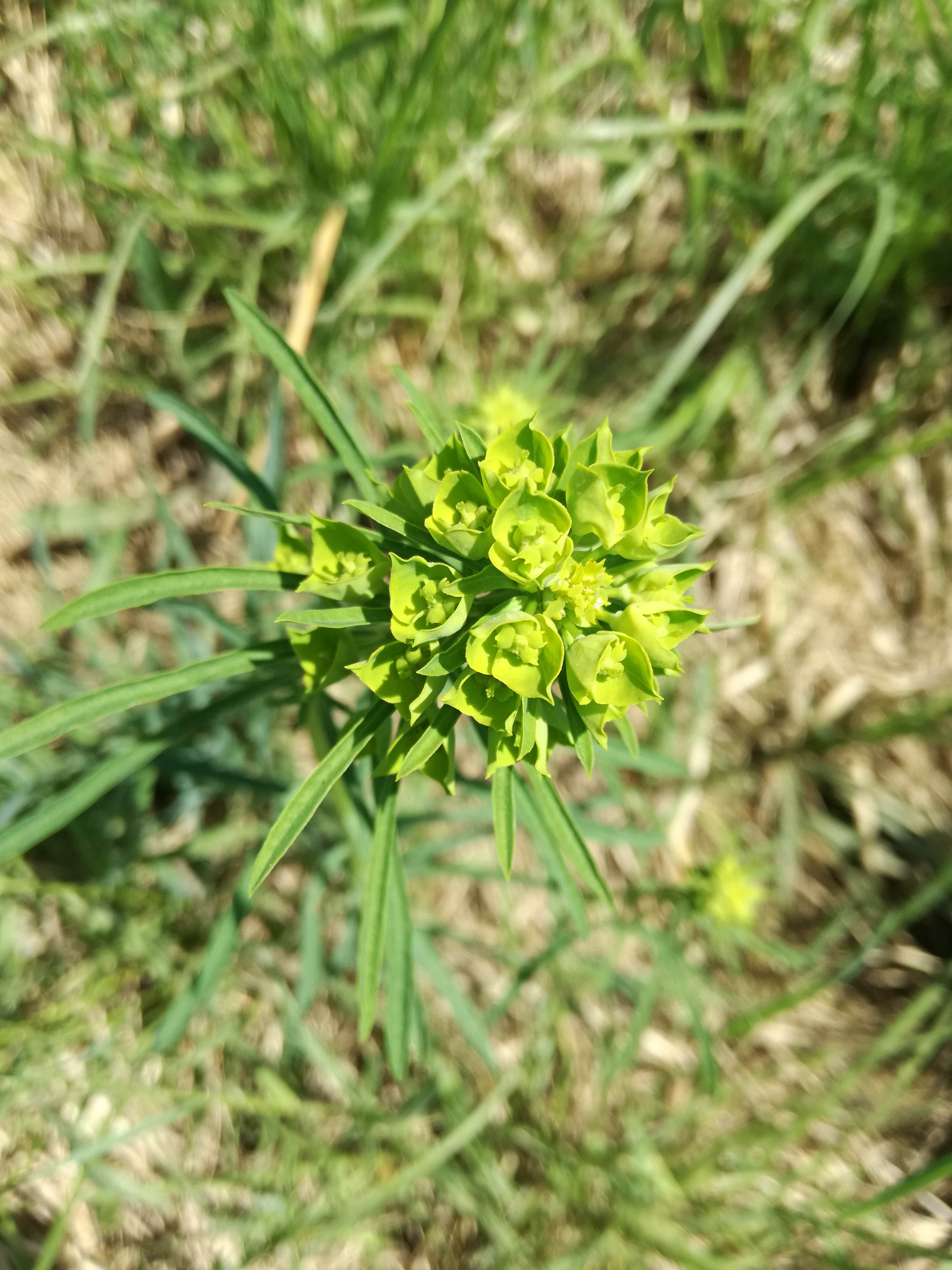 21042018234227 3530 art 1522 img 20180421 140341