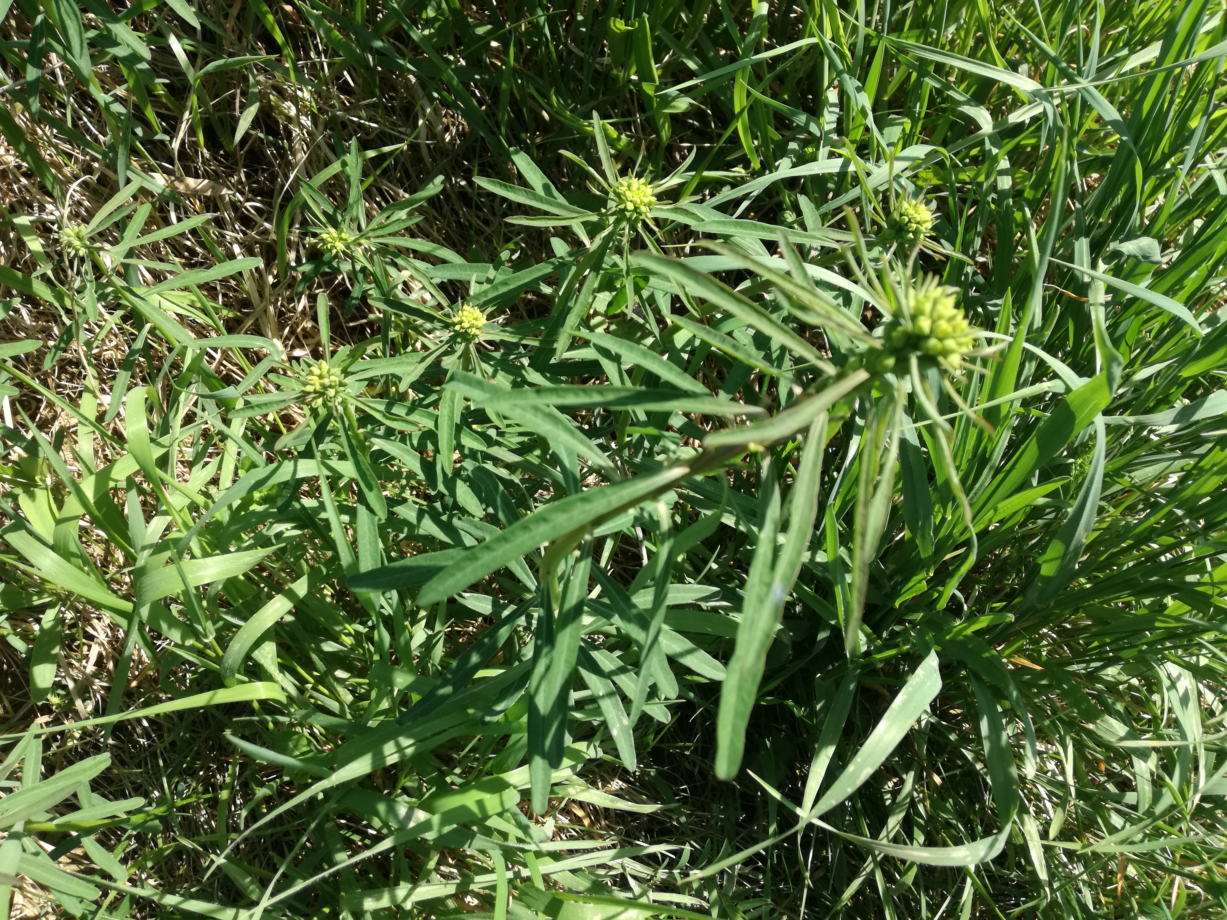 21042018234336 3531 art 1522 img 20180421 140314