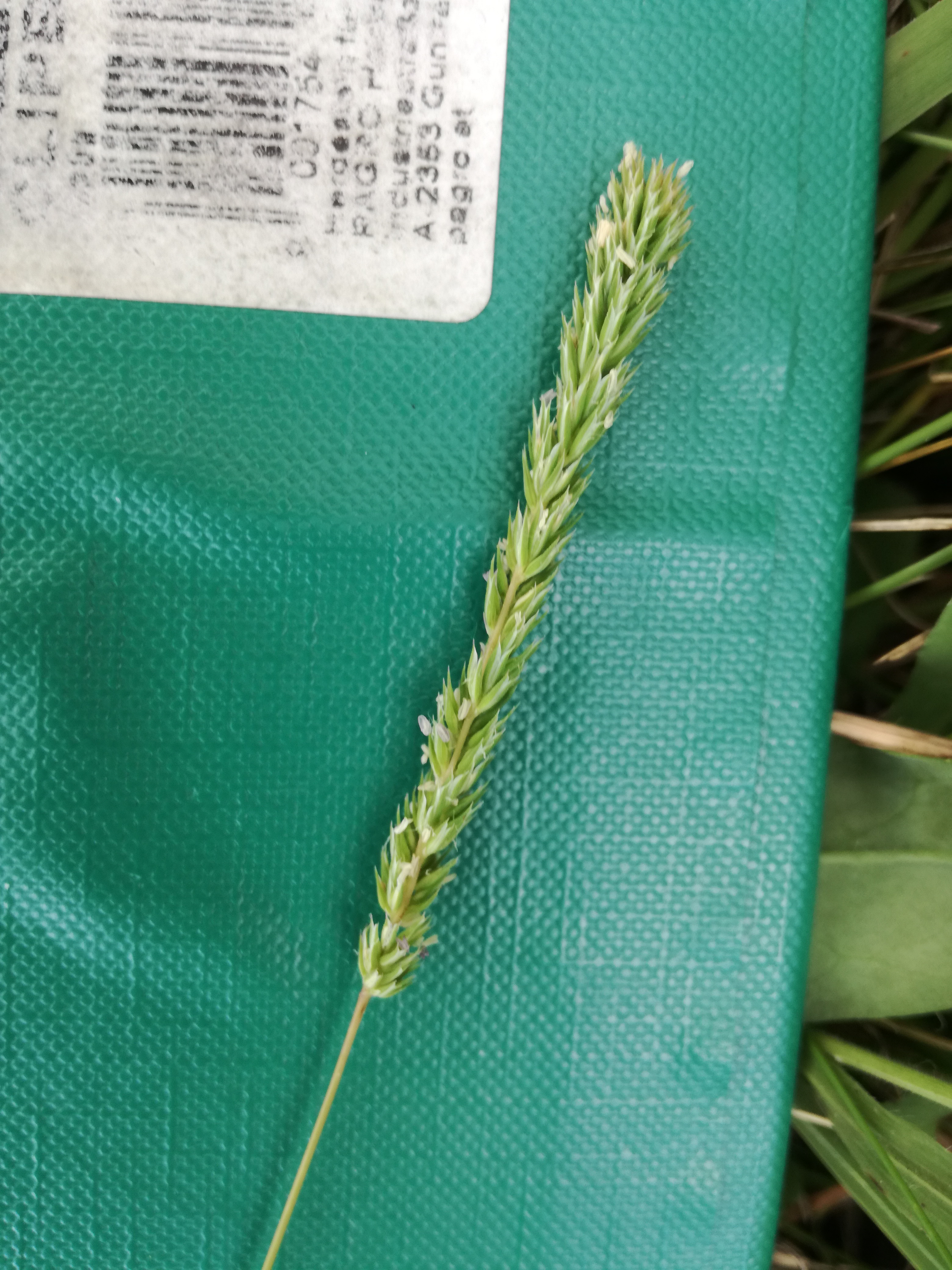 21062018085342 3754 art 2250 img 20180619 114856