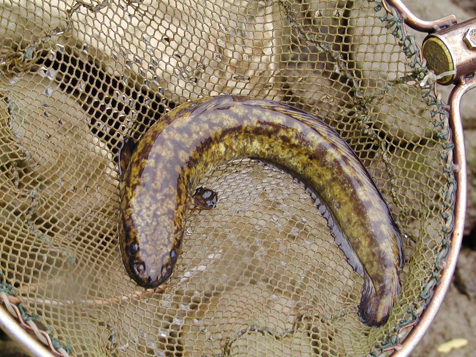 21082013102345 1522 art 1137 pa090025