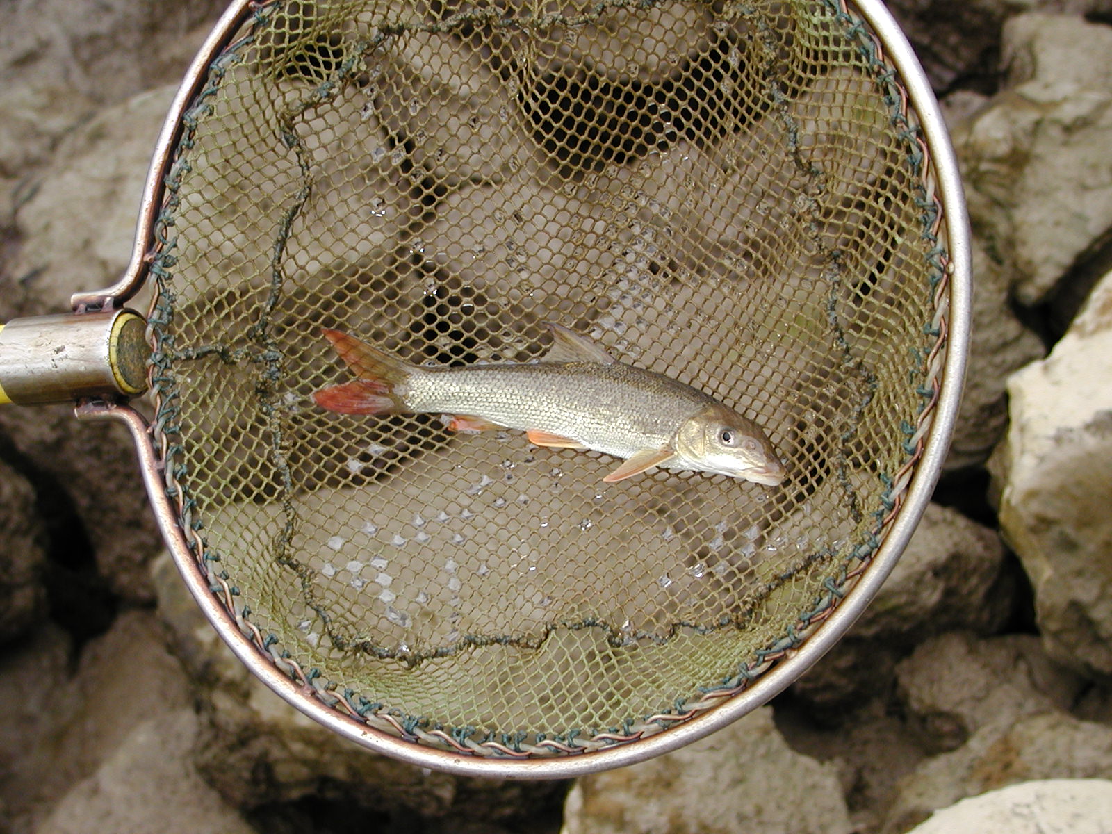 21082013102822 1524 art 1078 pa090018