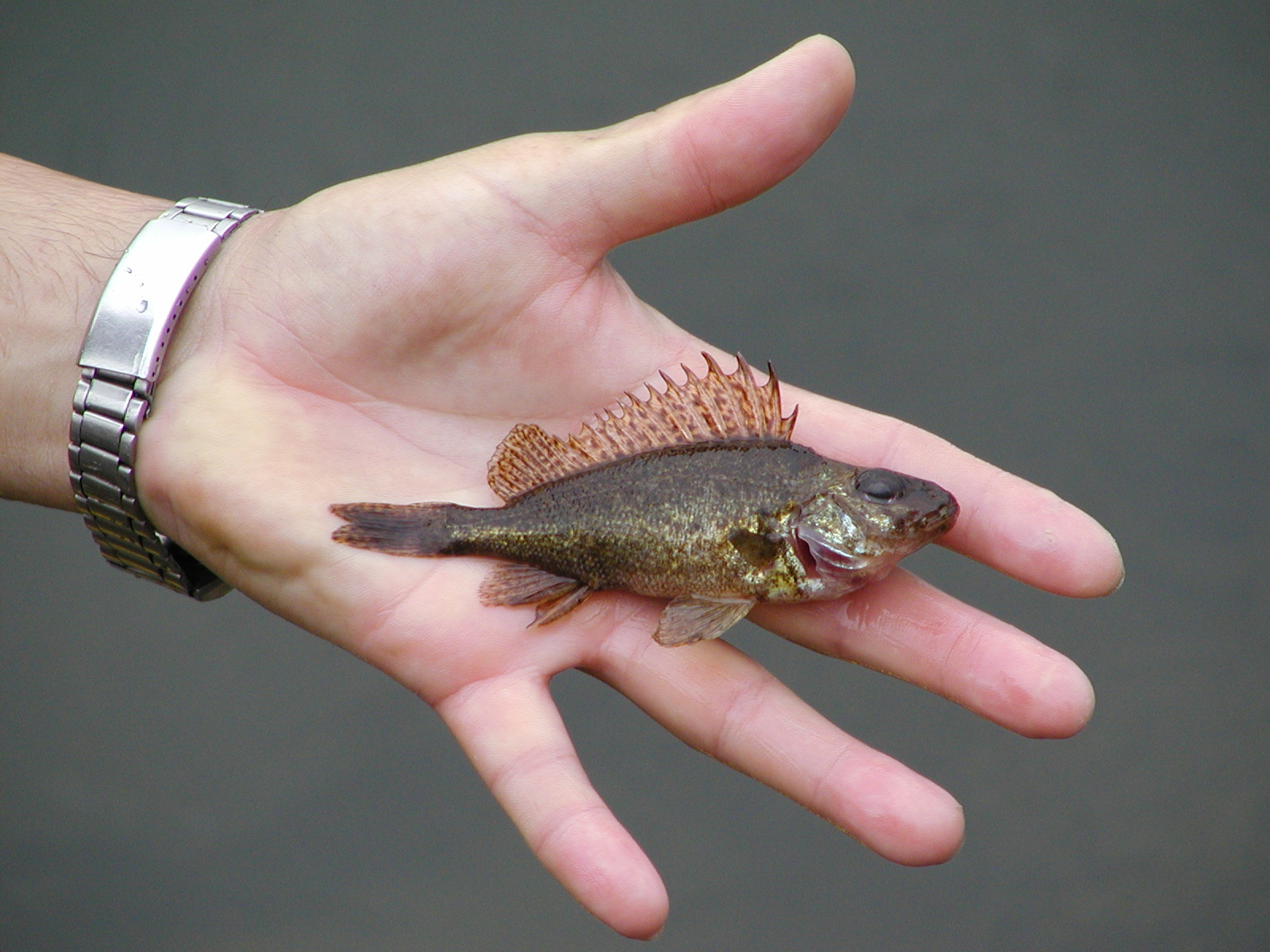 21082013103339 1527 art 1141 pa090020