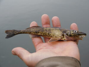 21082013104405 1532 art 1136 pa090016