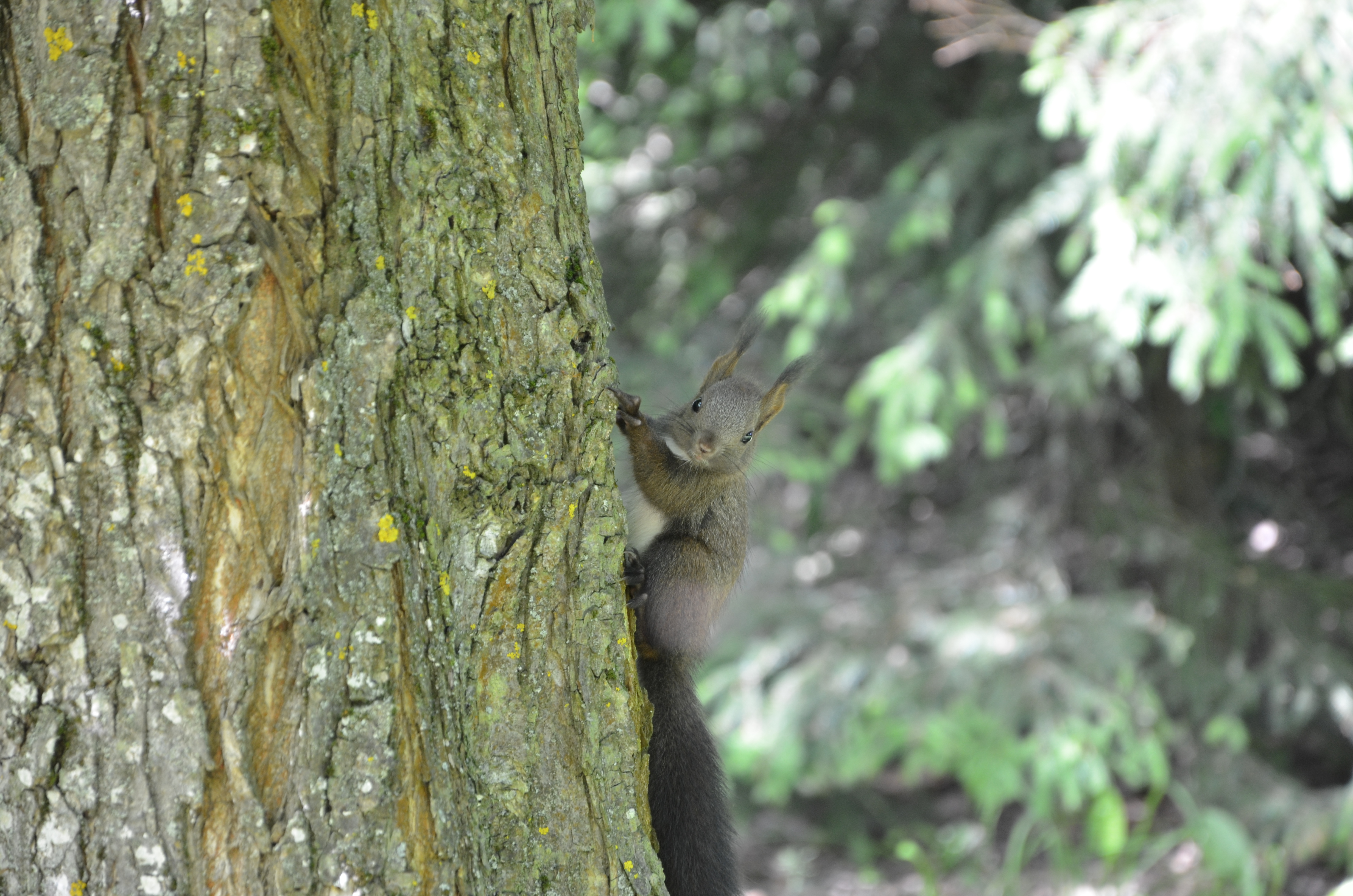 21082013115021 1533 art 978 dsc 5050