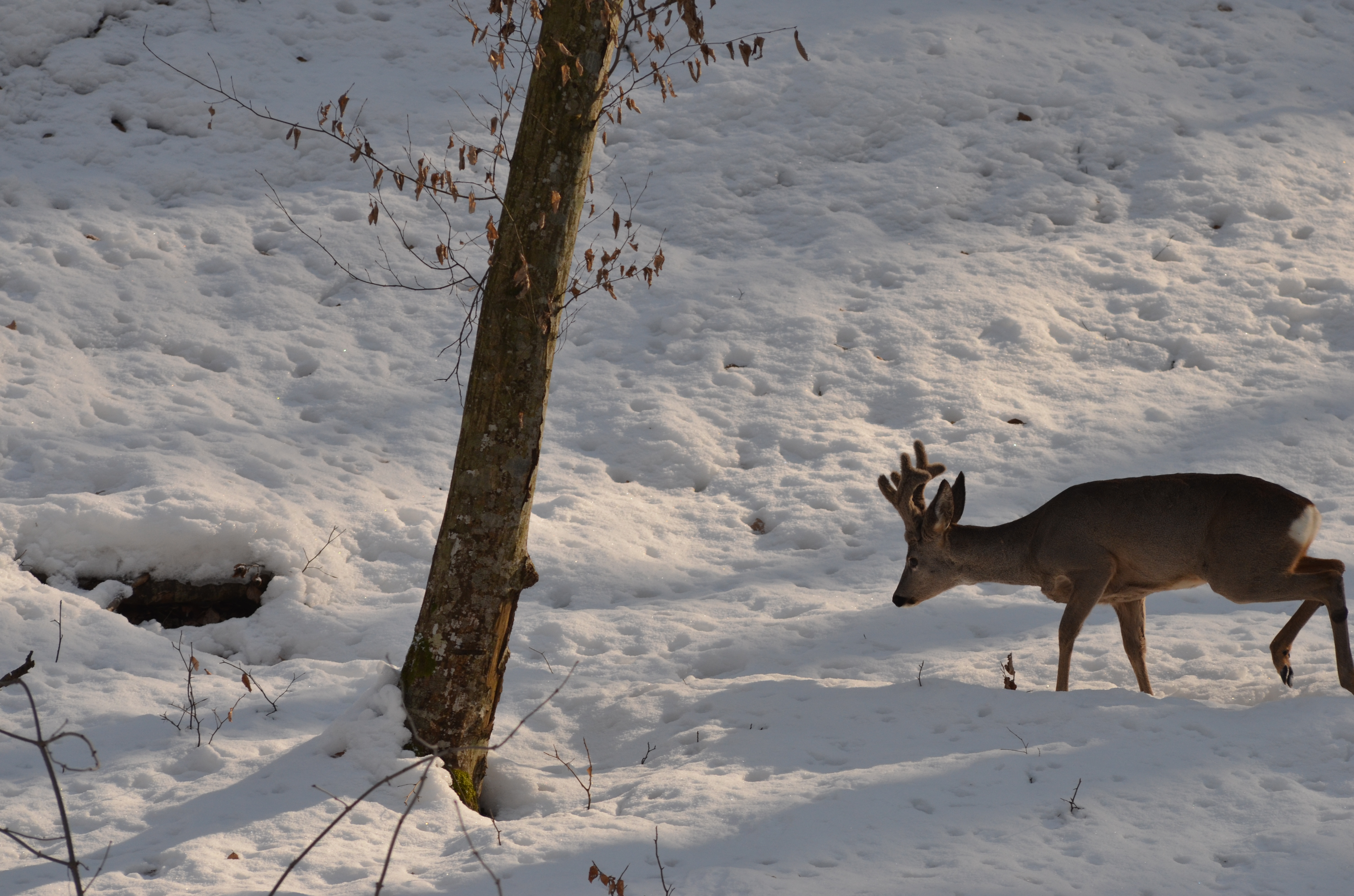 21082013115412 1534 art 924 dsc 1359