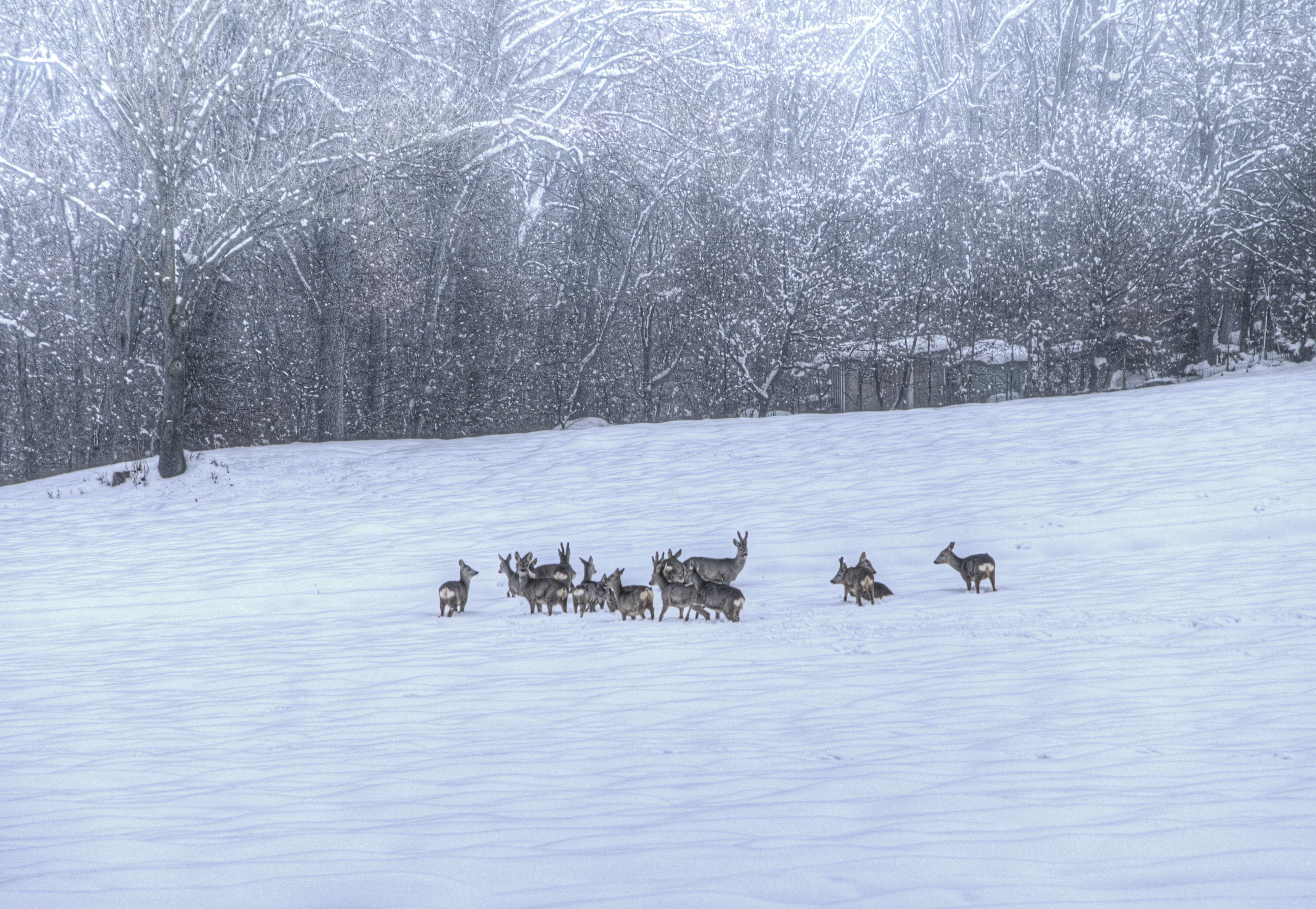 21082013115912 1535 art 924 dsc 1243 1