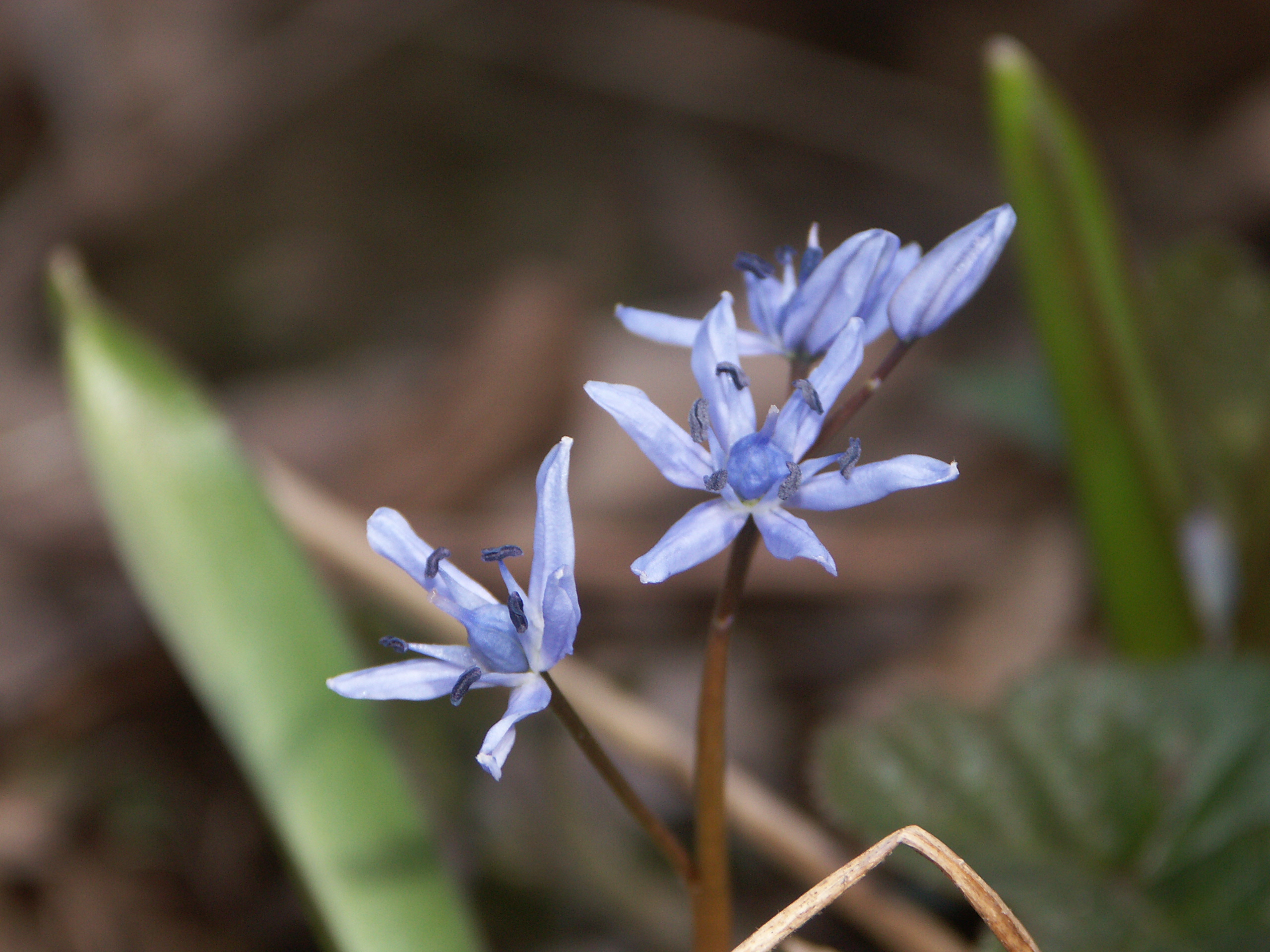 21082013122956 1537 art 1222 pict0692