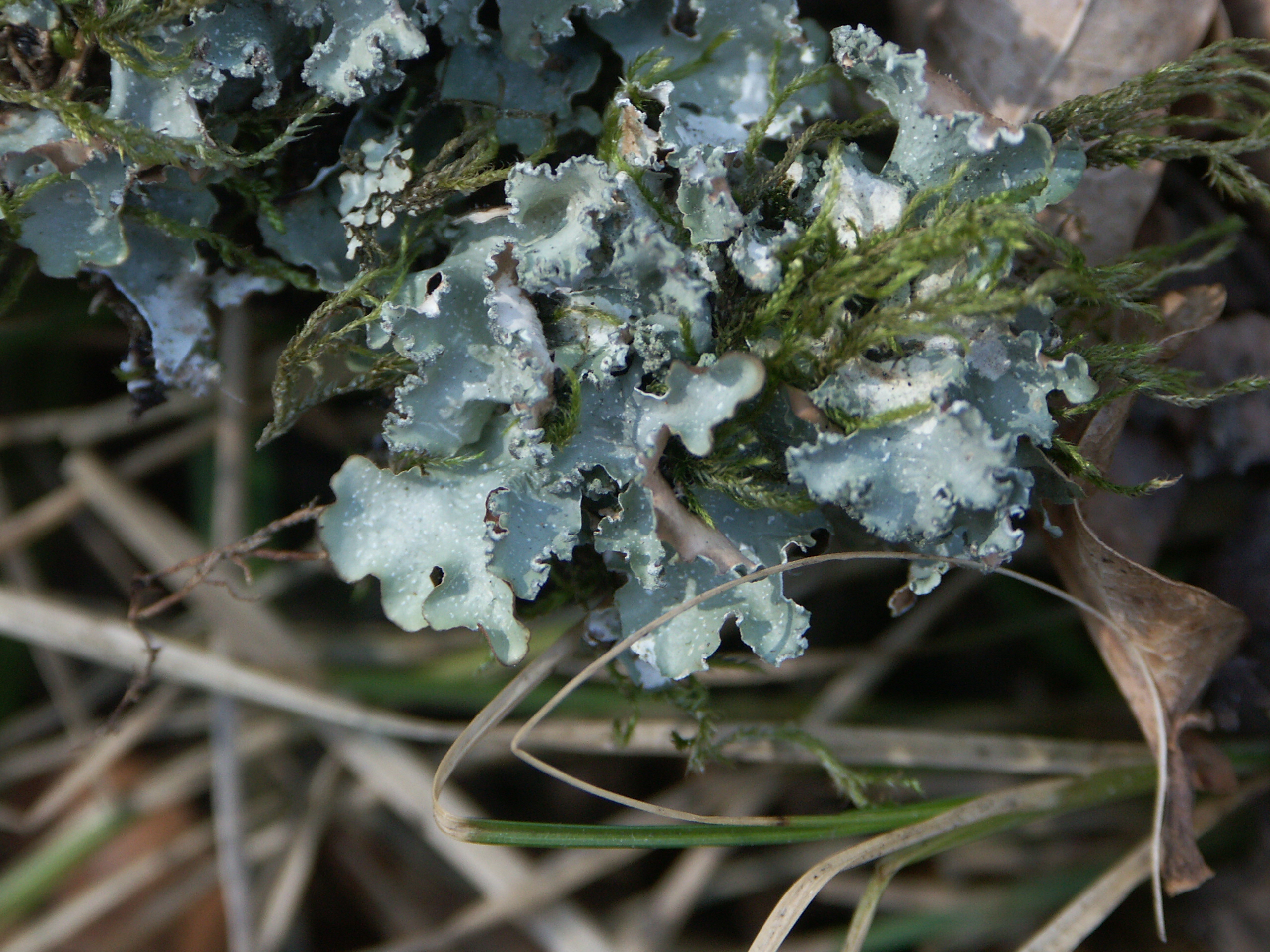 21082013125314 1538 art 1223 pict0761