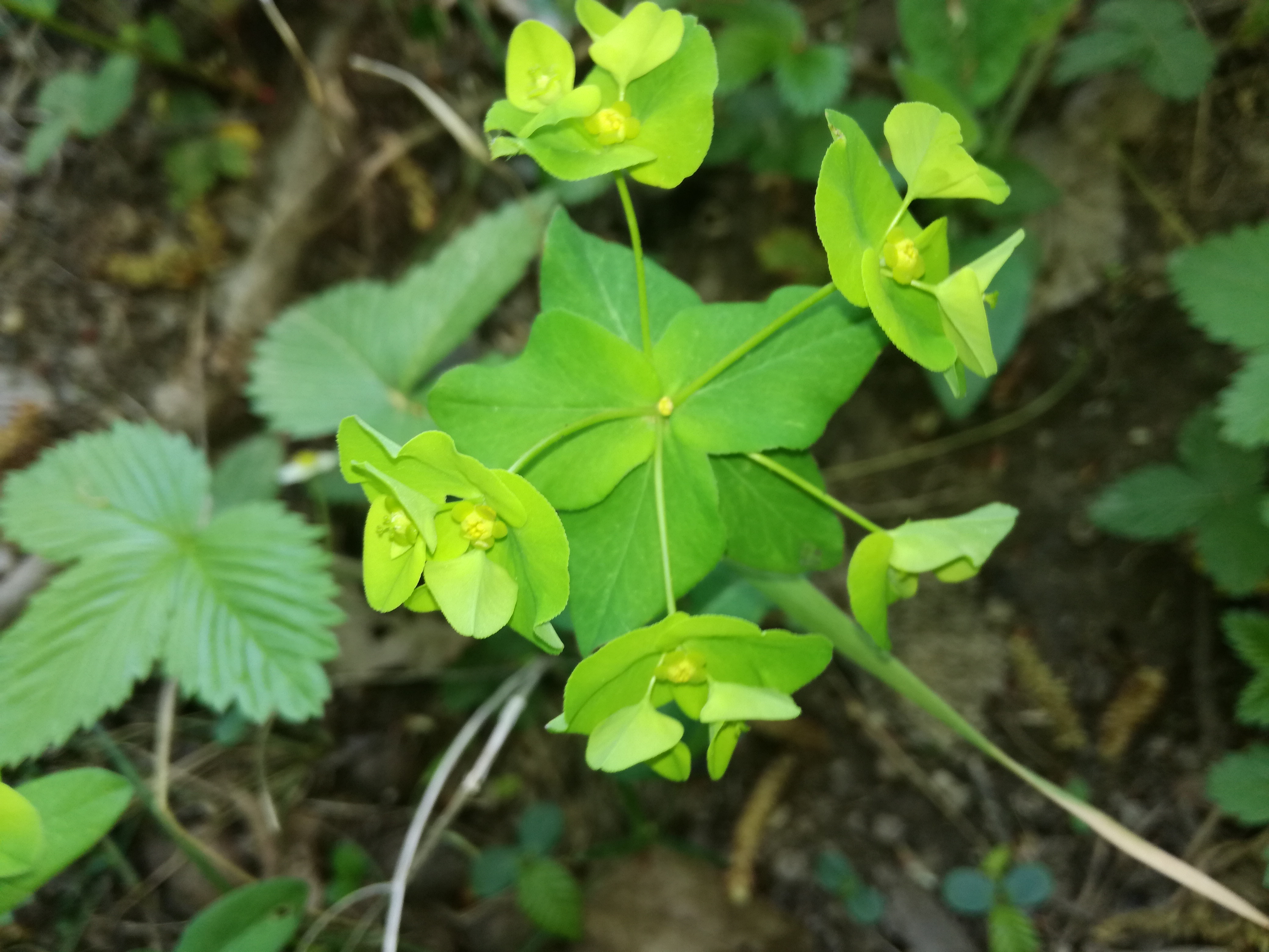 22042018000410 3532 art 2121 img 20180421 142556