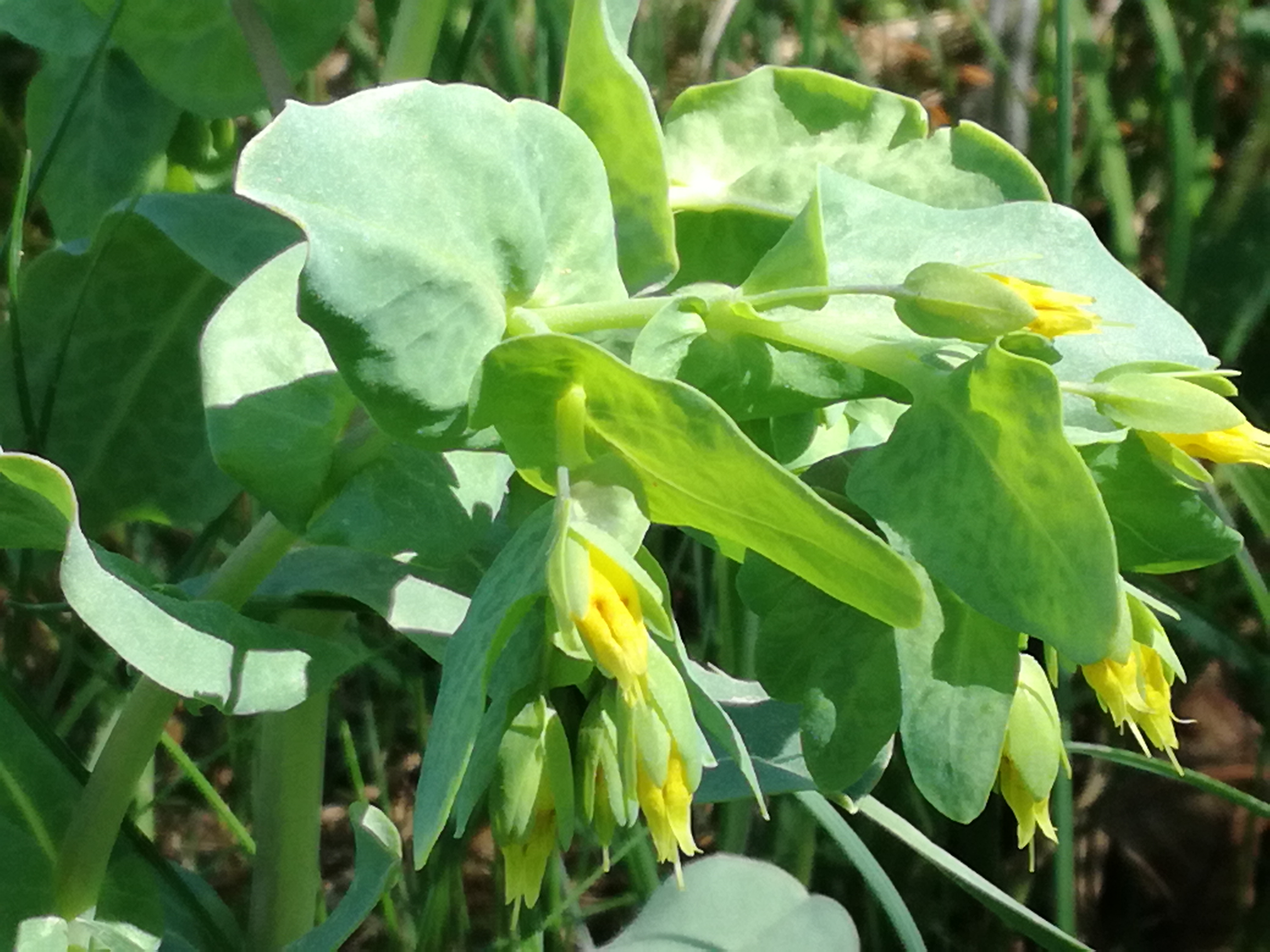 22042018000923 3534 art 1479 img 20180421 105706