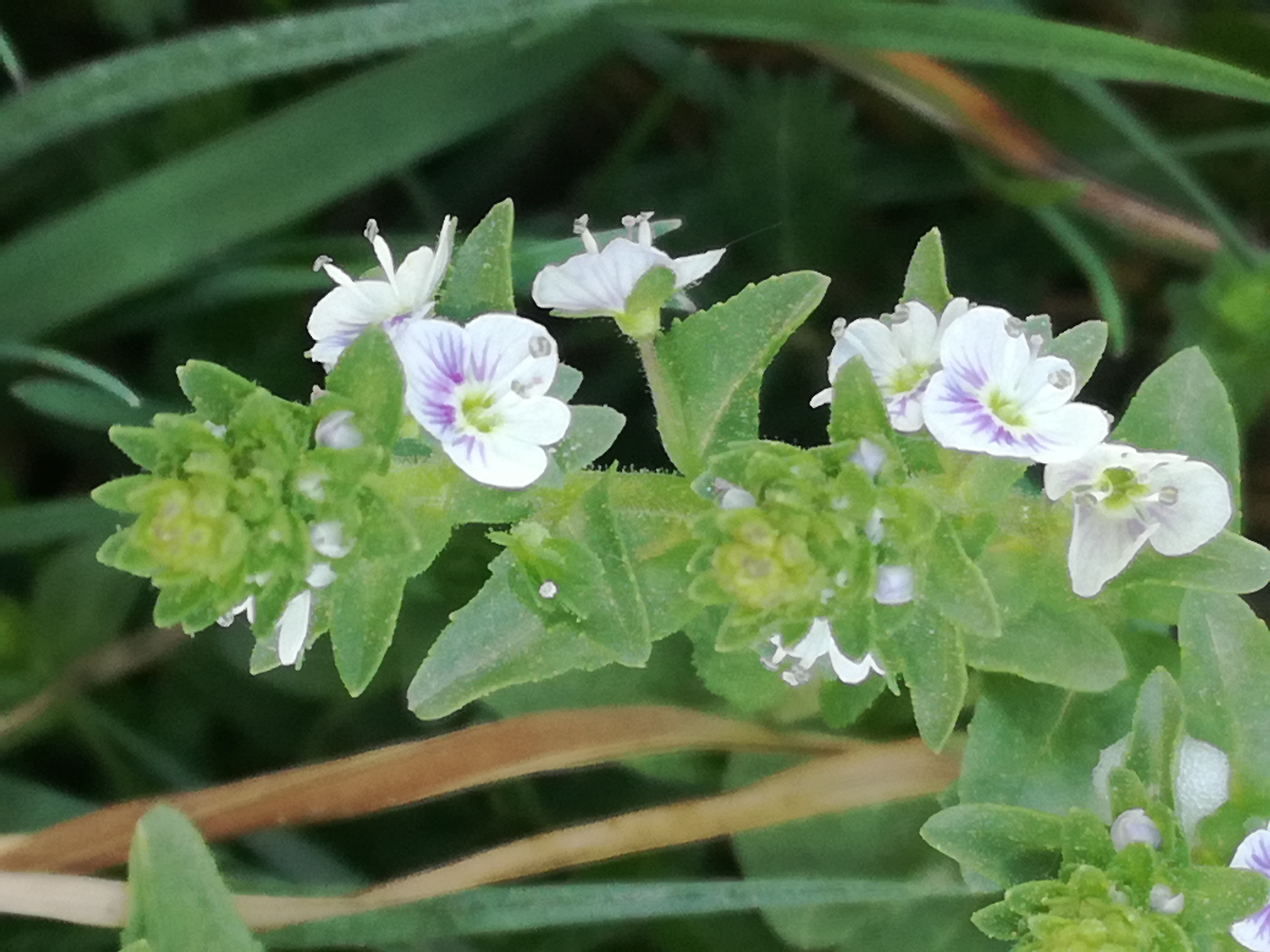 22042018001943 3535 art 2122 img 20180421 115108