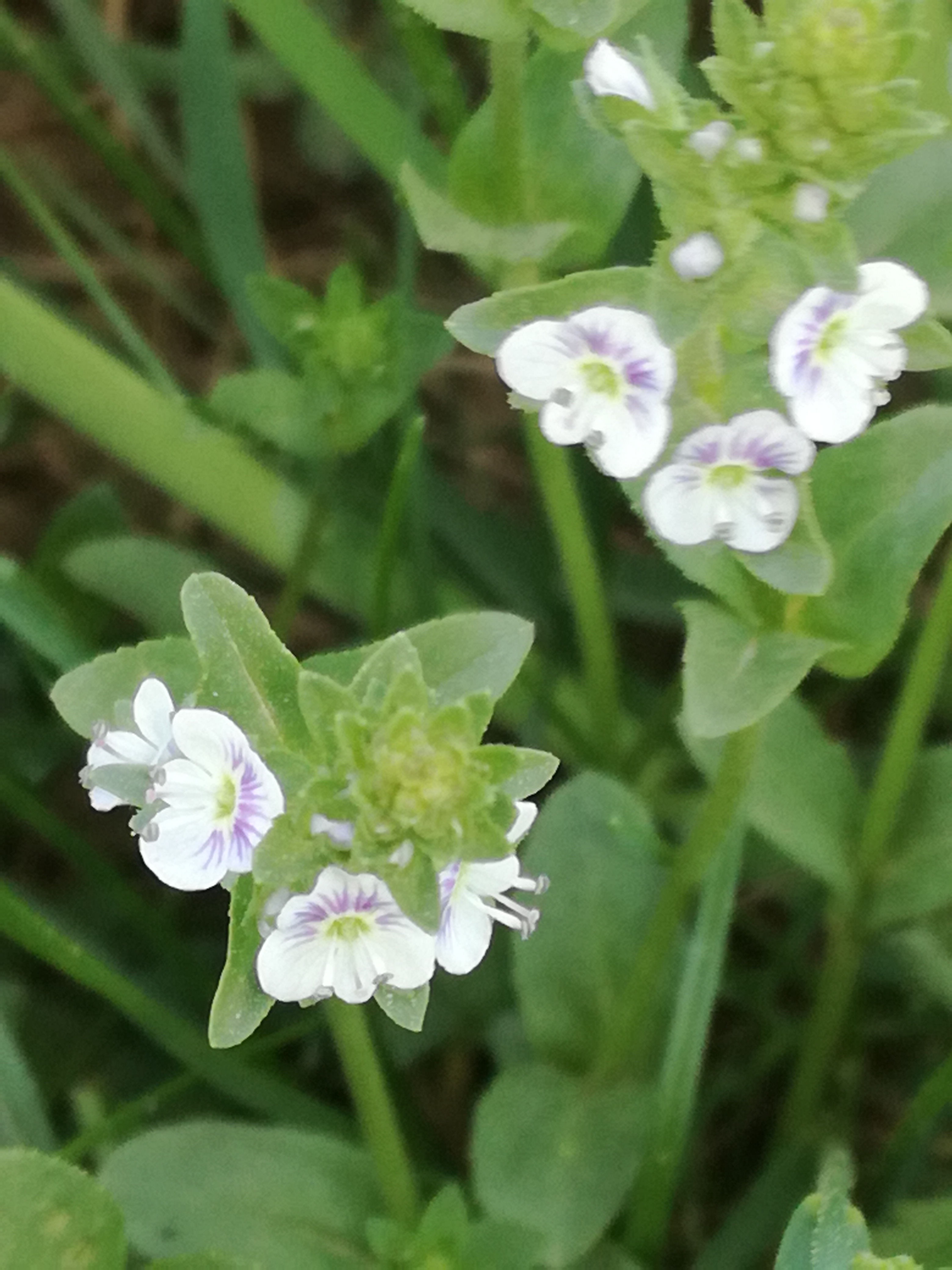 22042018002036 3536 art 2122 img 20180421 115116