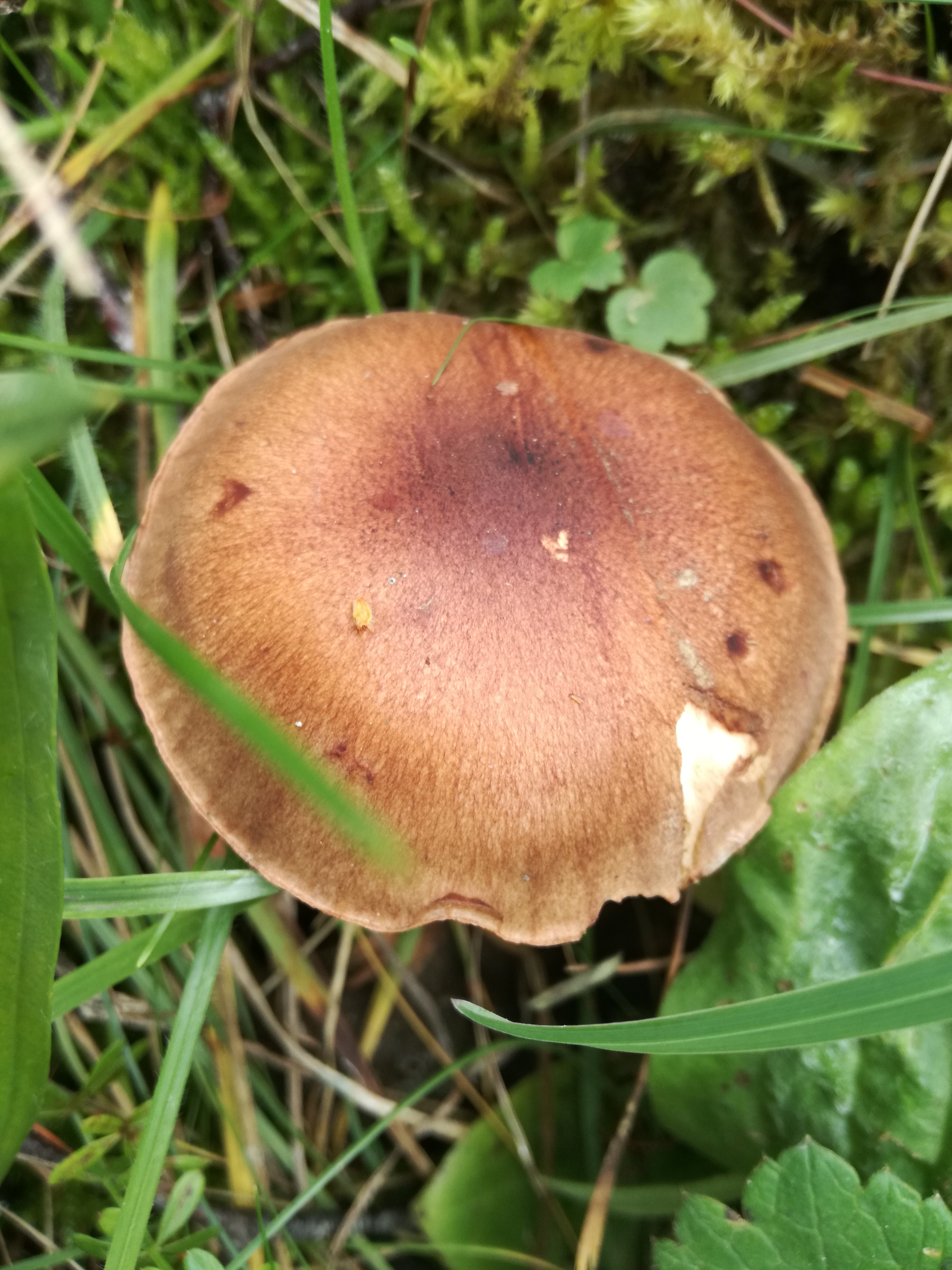 22102017221410 3125 art 1879 img 20171006 145732 2