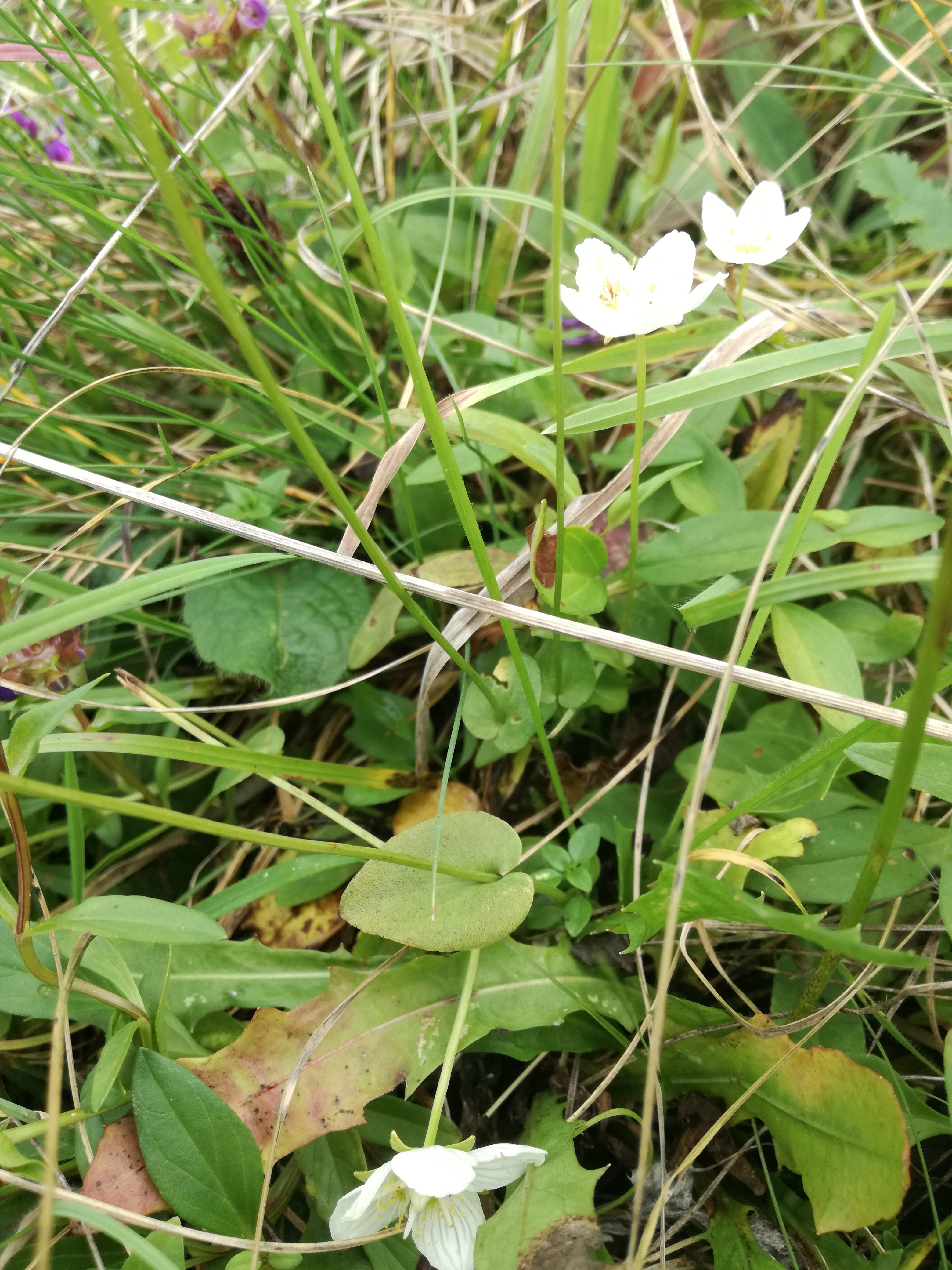 22102017224457 3131 art 1880 img 20171006 145713