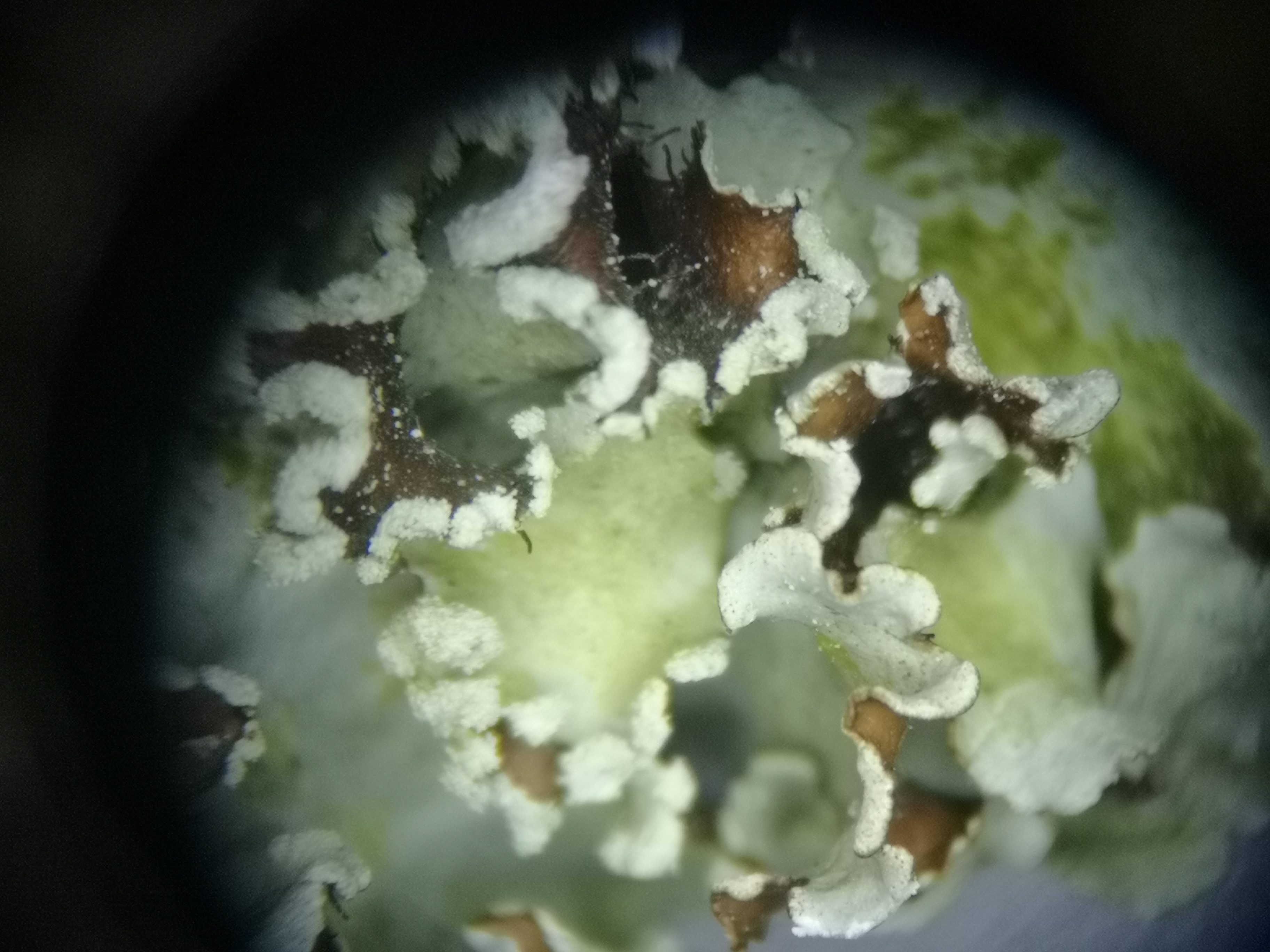 22122019104408 3886 art 878 img 20191028 203748