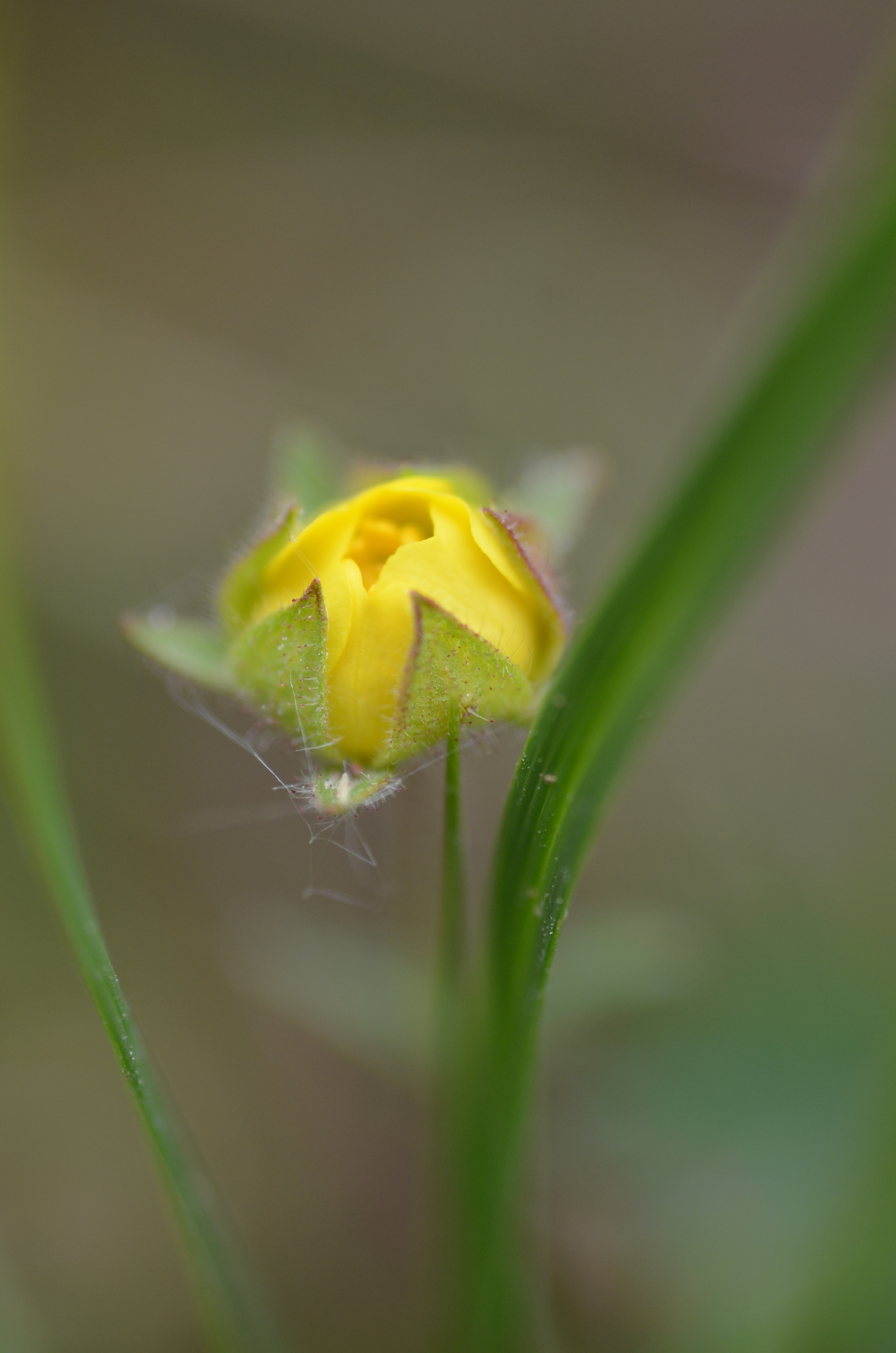 23042014180238 2340 art 1475 dsc 3597