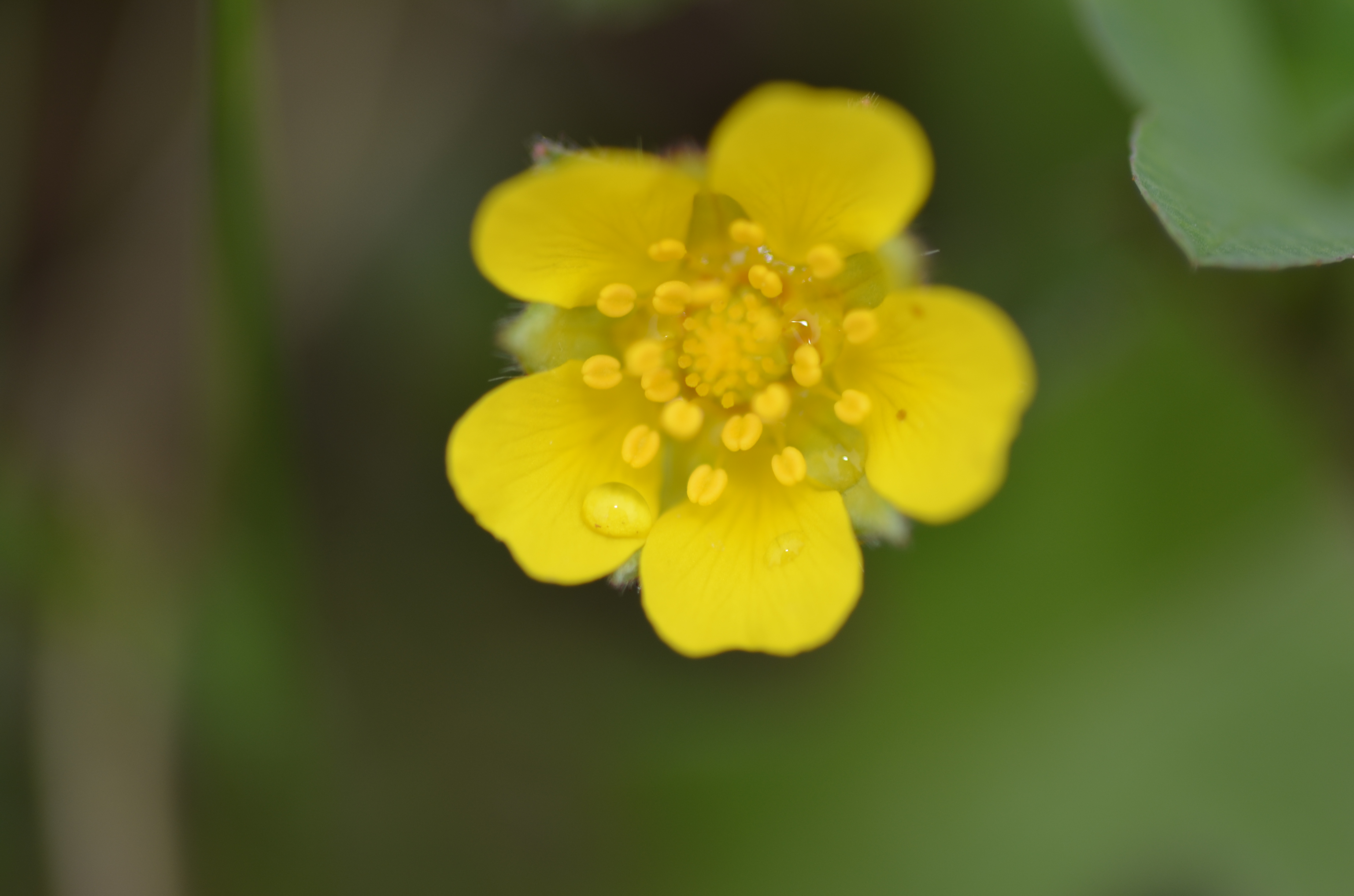 23042014180929 2342 art 1475 dsc 3599