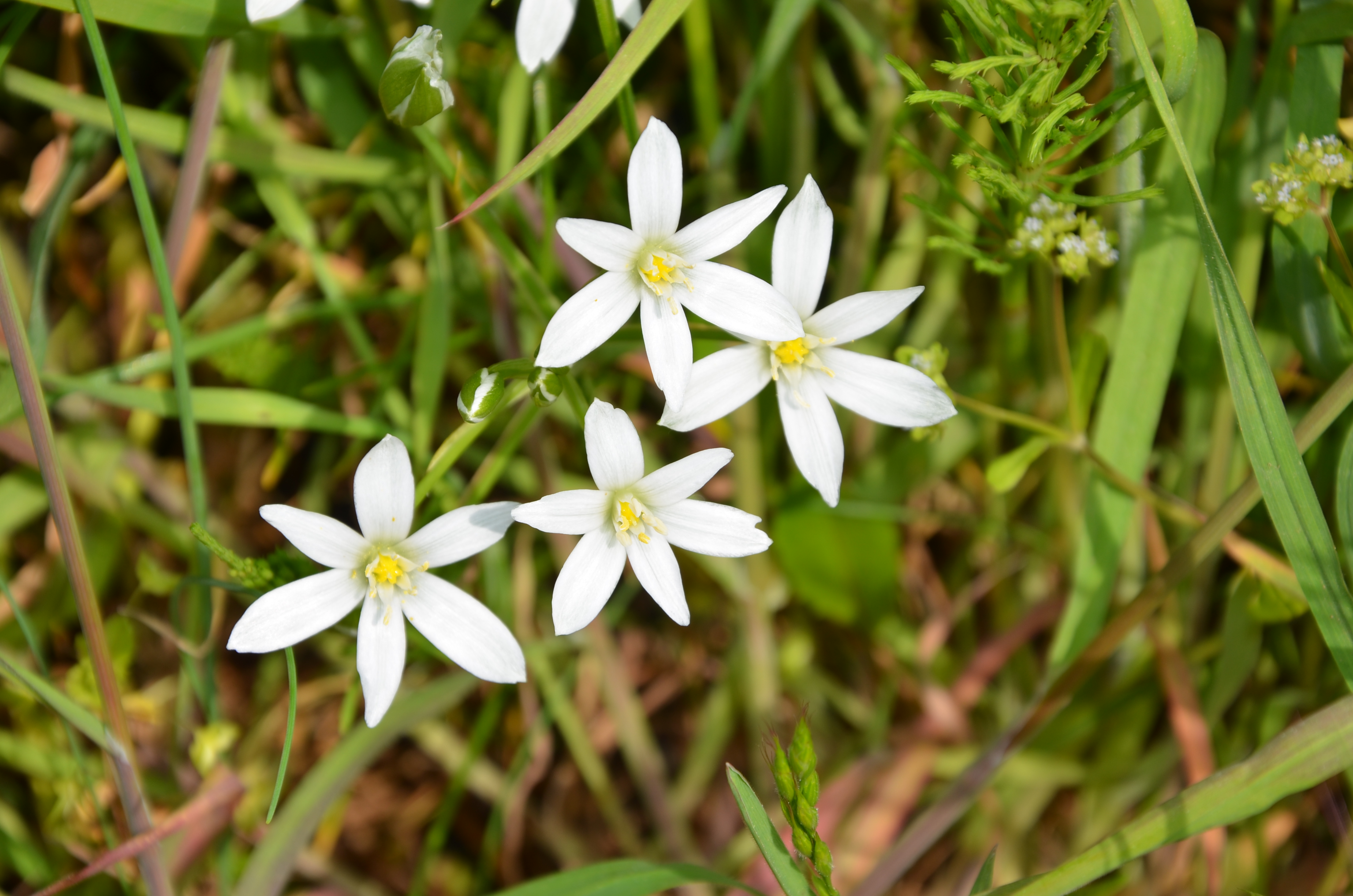 23042014181951 2343 art 1476 dsc 3575