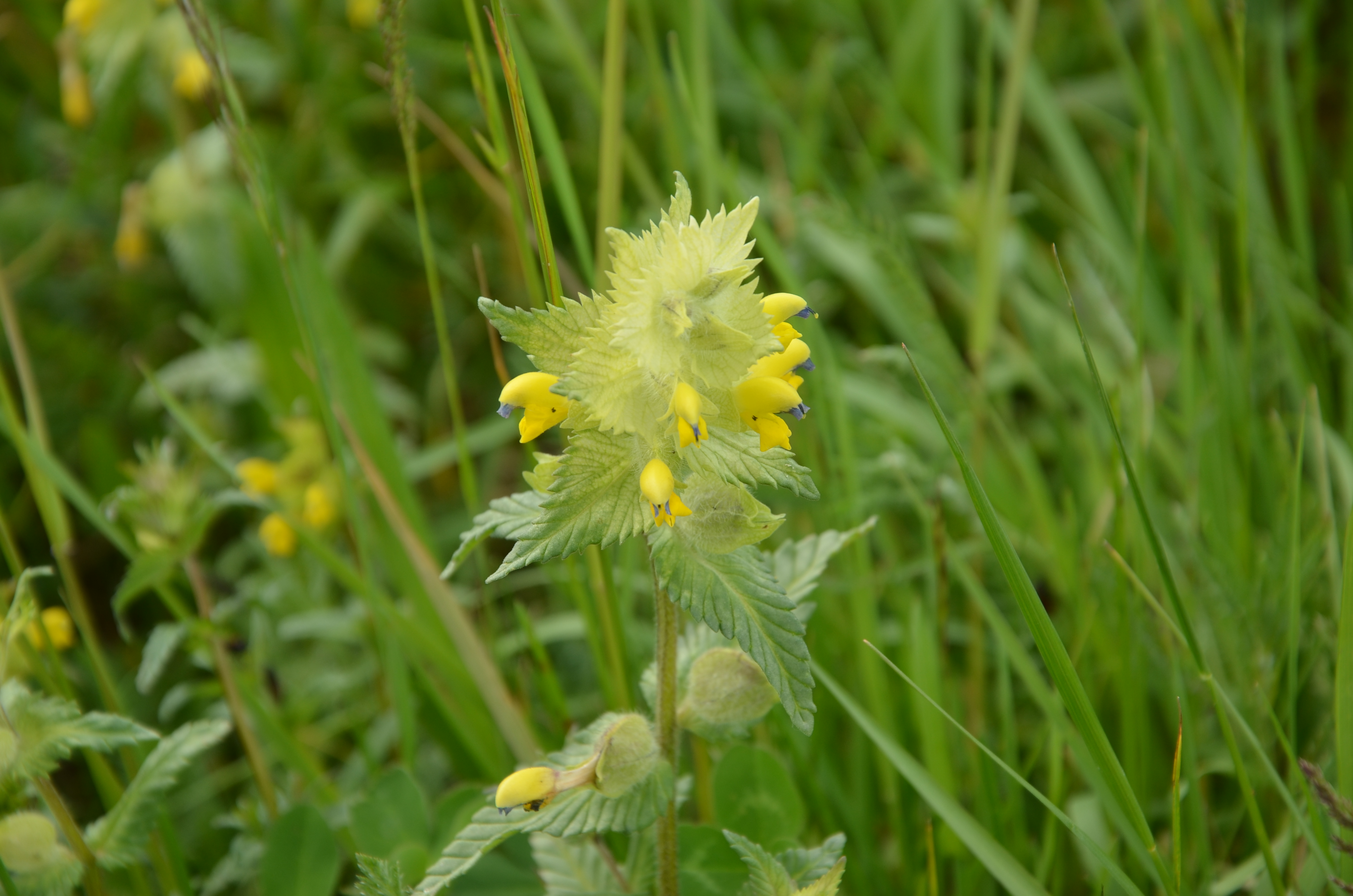 23042014183314 2344 art 1477 dsc 3584