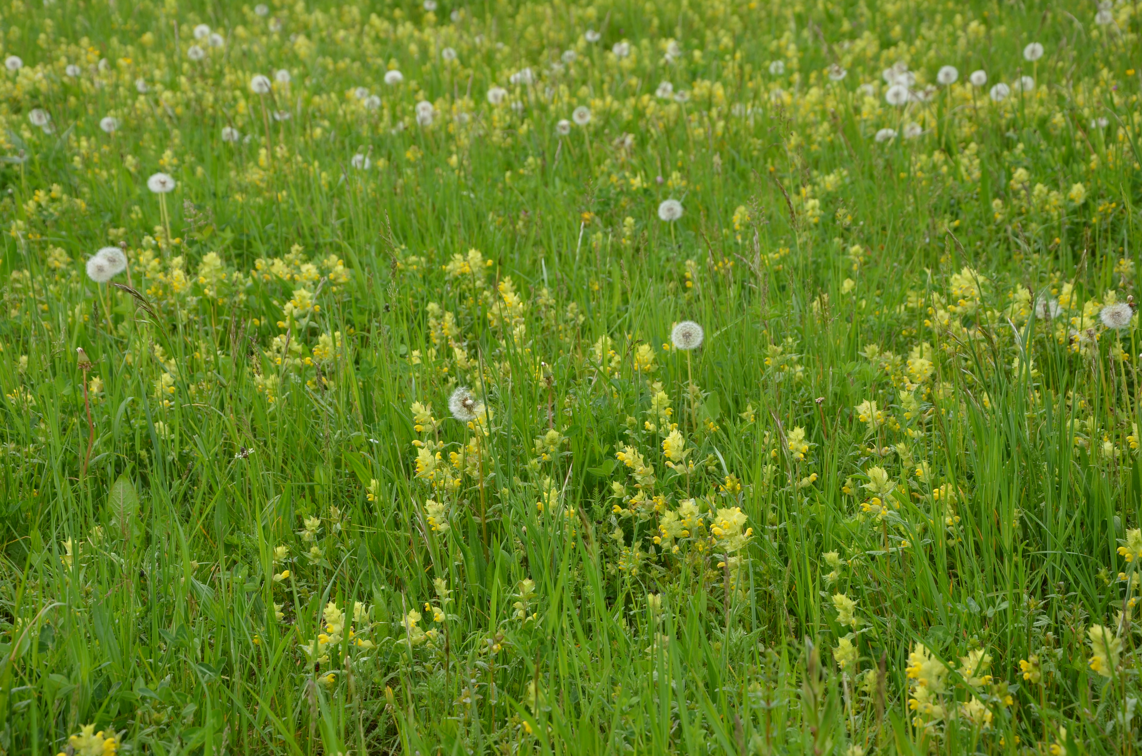 23042014183658 2345 art 1477 dsc 3586