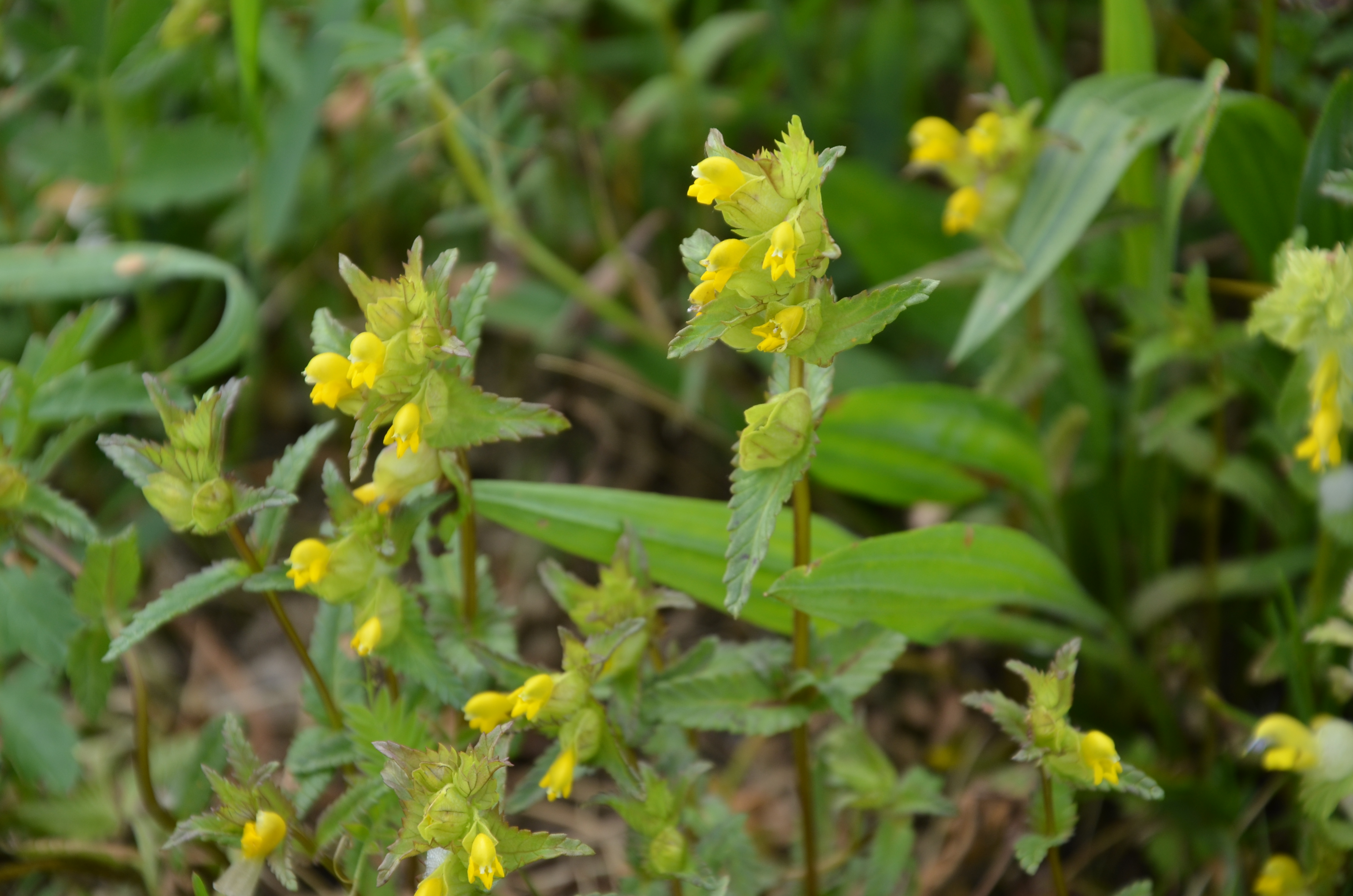 23042014184417 2346 art 1478 dsc 3588